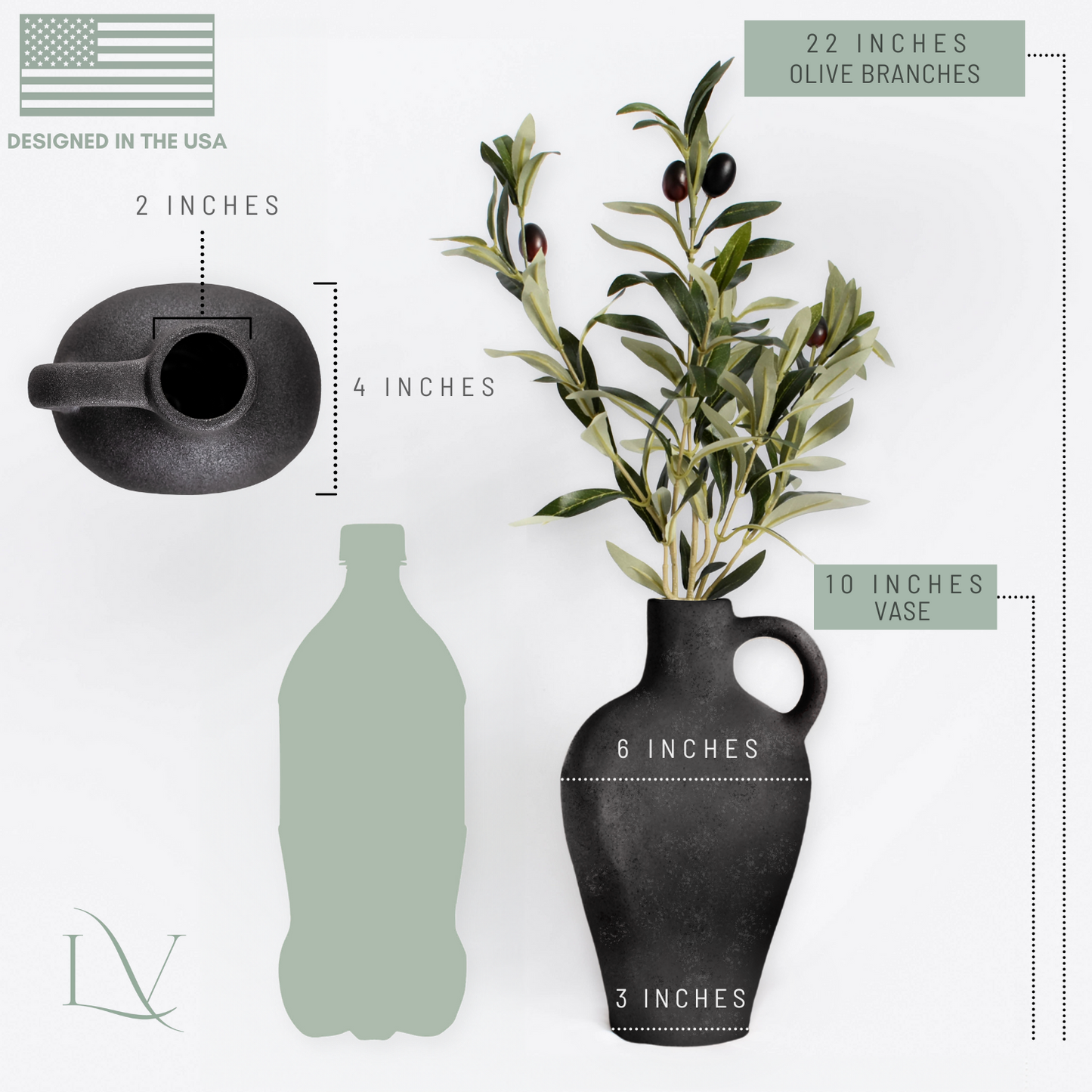 Coastal Olive