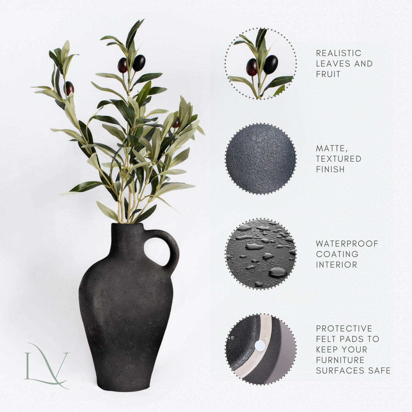 Coastal Olive