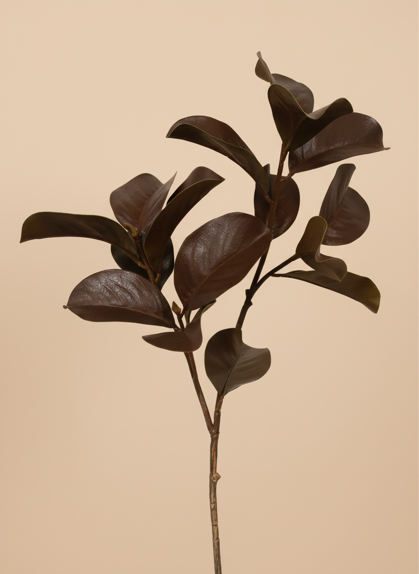 Magnolia Branch - Brown