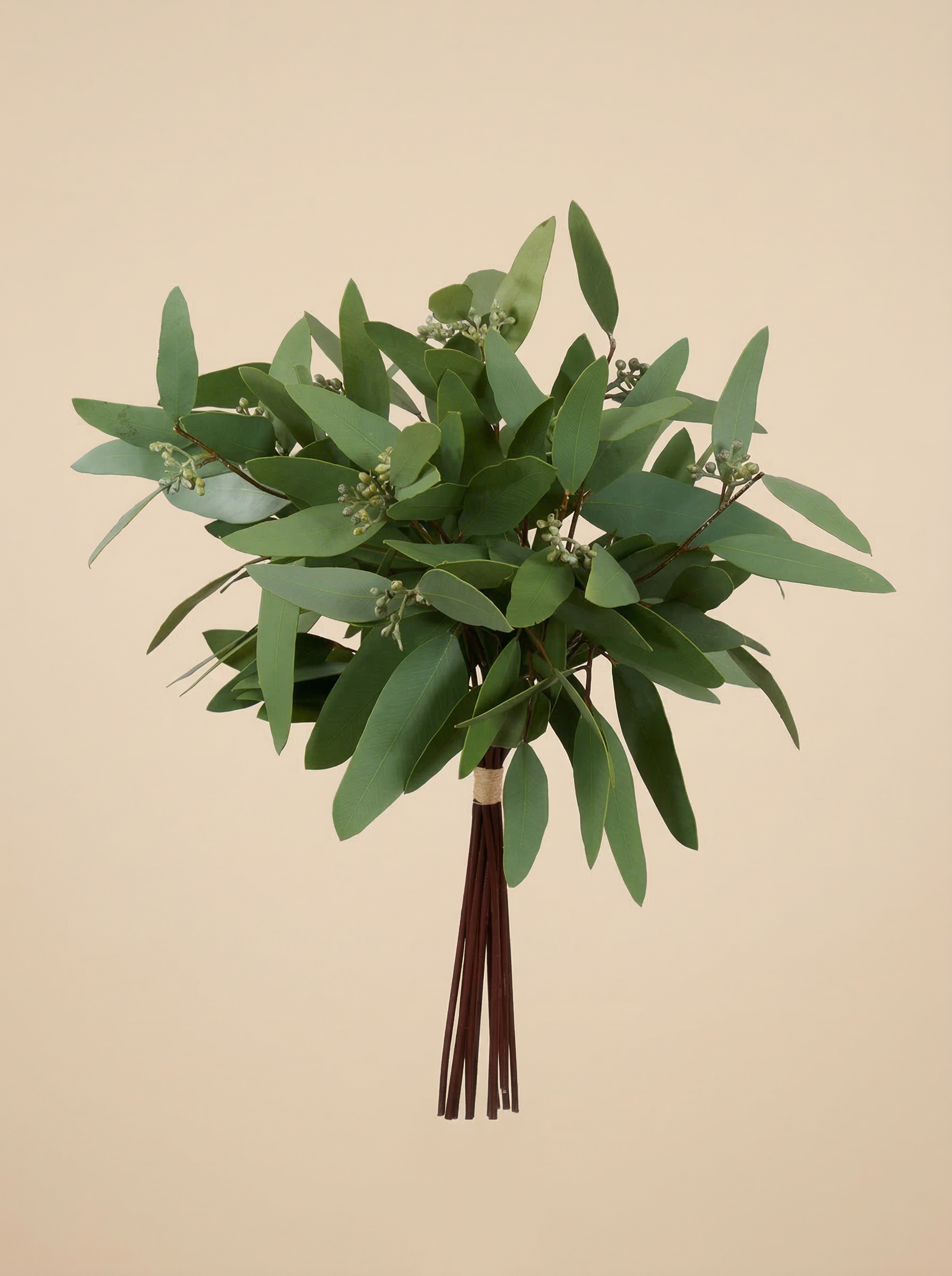 Eucalyptus Bundle 16"