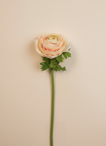 Real Touch Ranunculus - Cream Wine