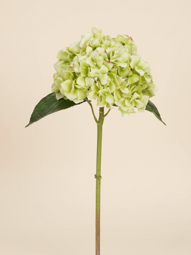 Real Touch Hydrangea Short Stem 18" - Light Green