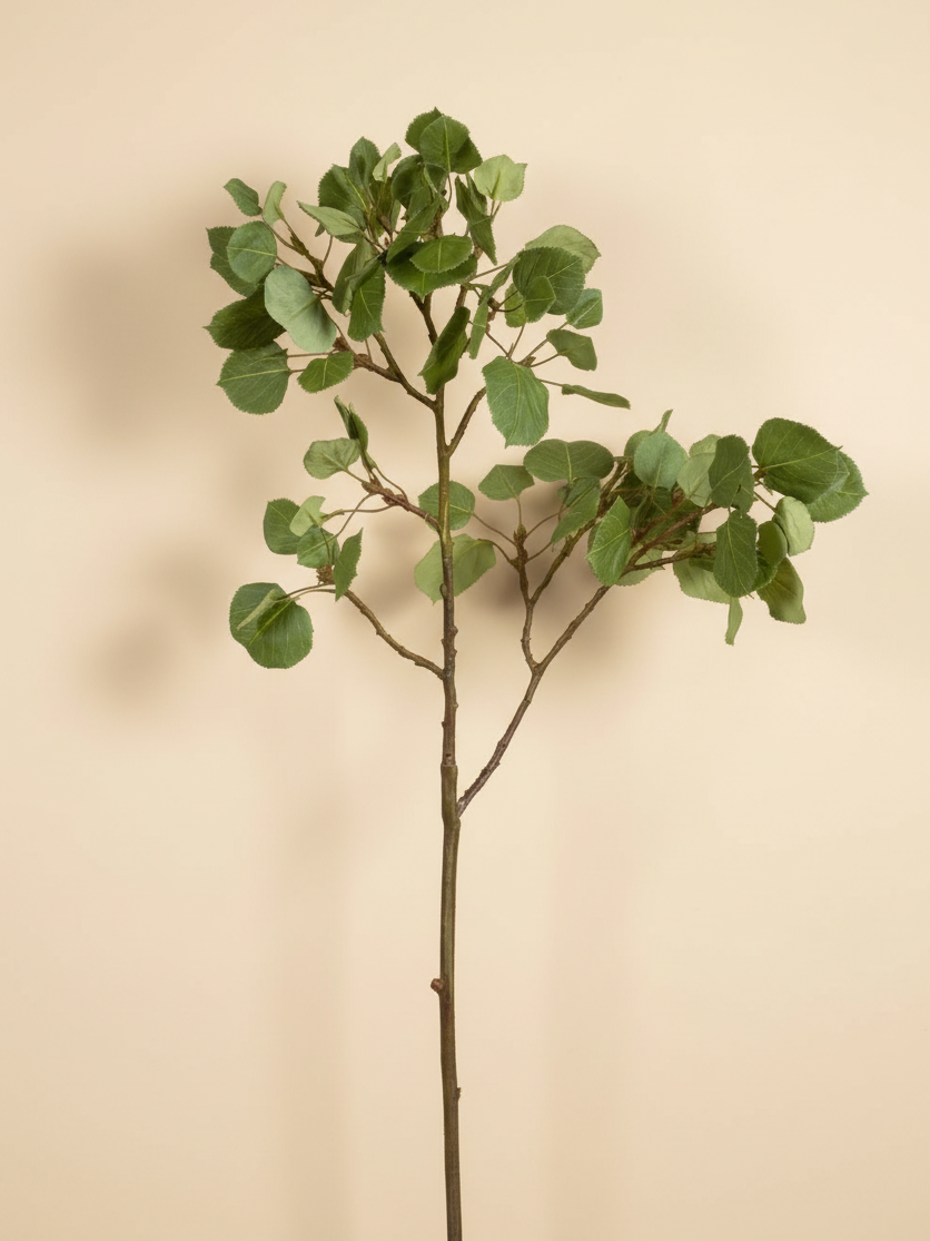 Aspen Spray 42" - Green