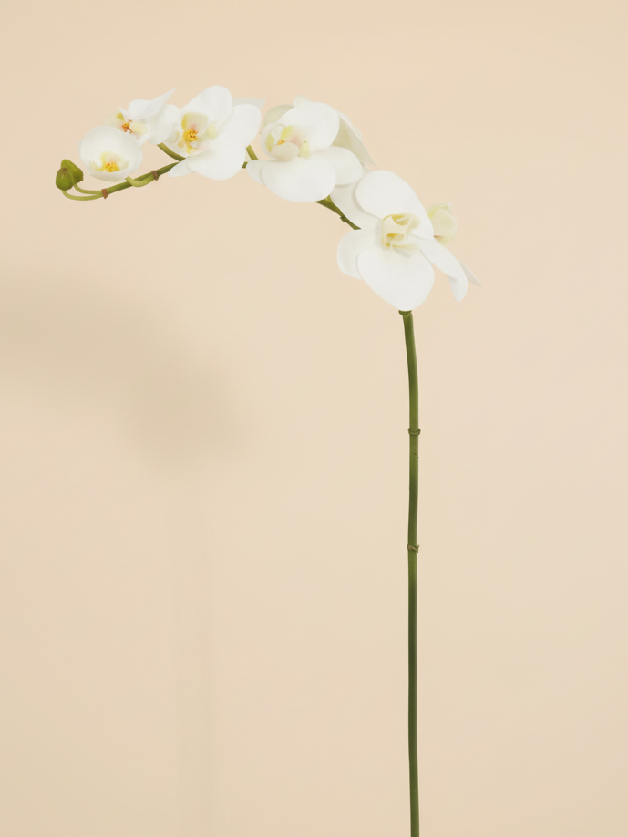 Real Touch Orchid Phalaenopsis 31" - White