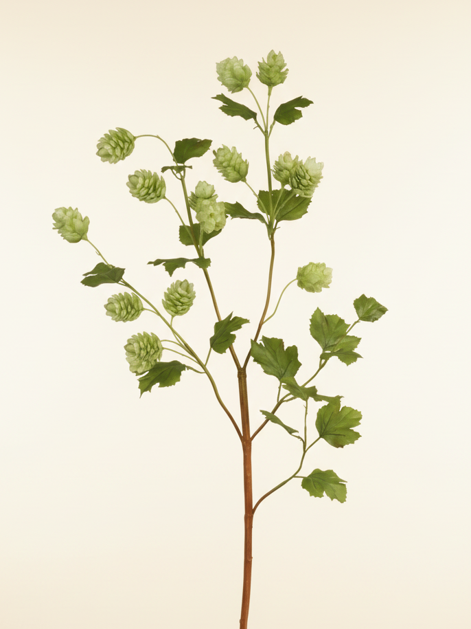 Hop Branch 37.5" - Green