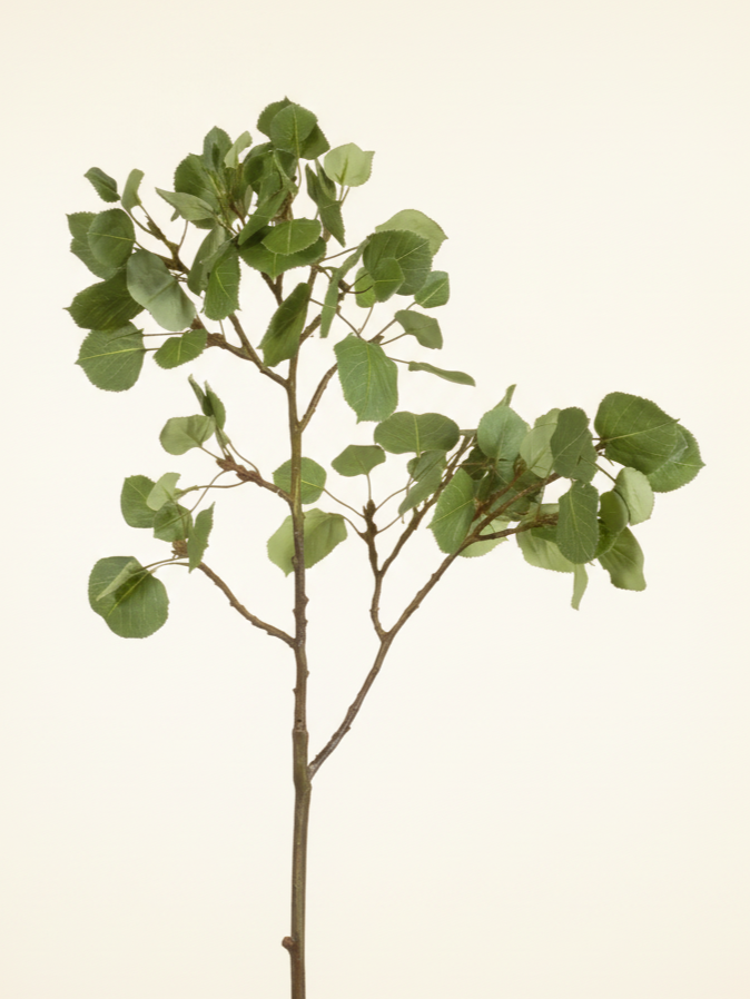 Aspen Spray 42" - Green