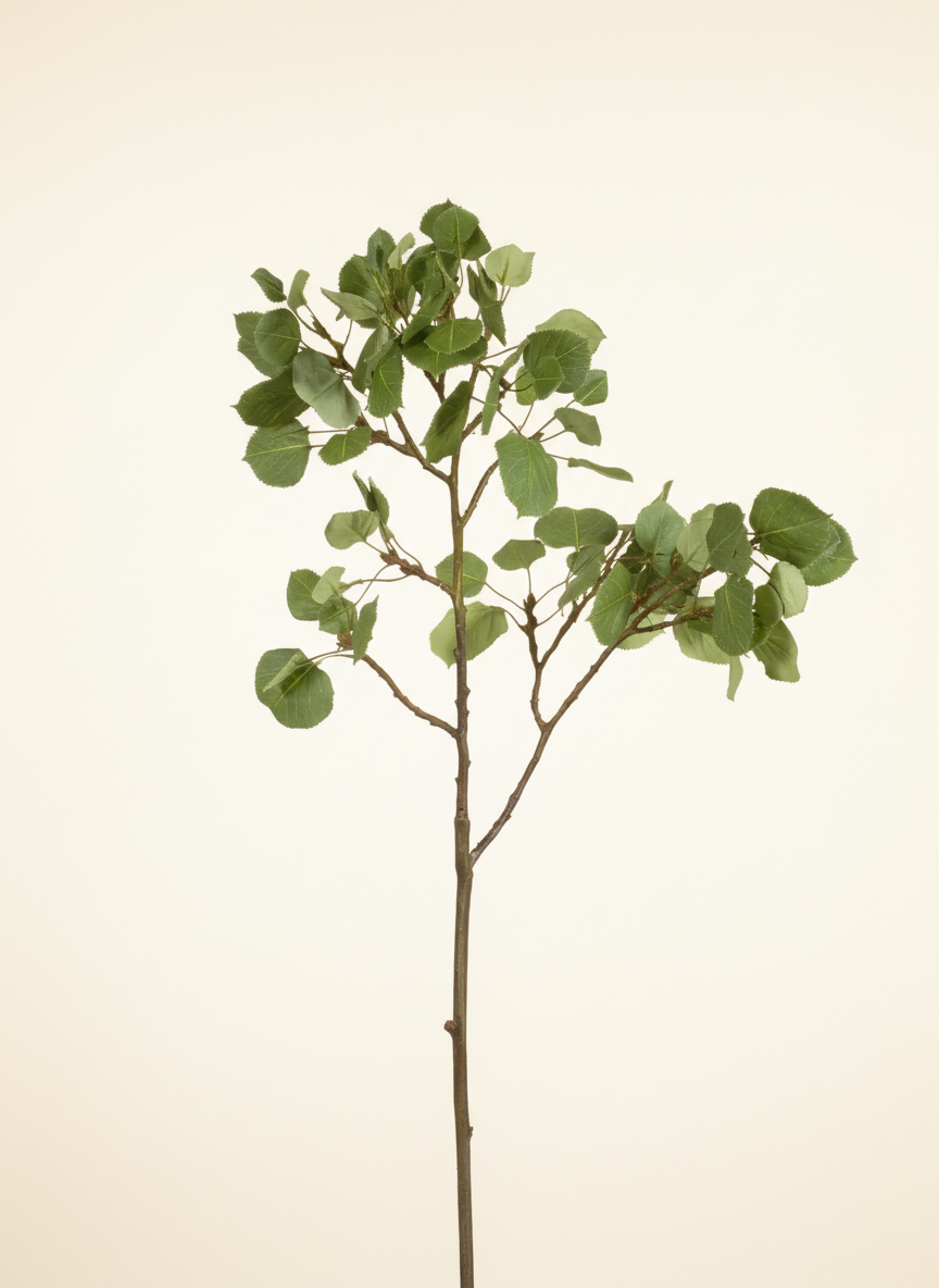 Aspen Spray 42" - Green