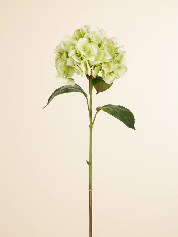 Real Touch Hydrangea 29" - Light Green