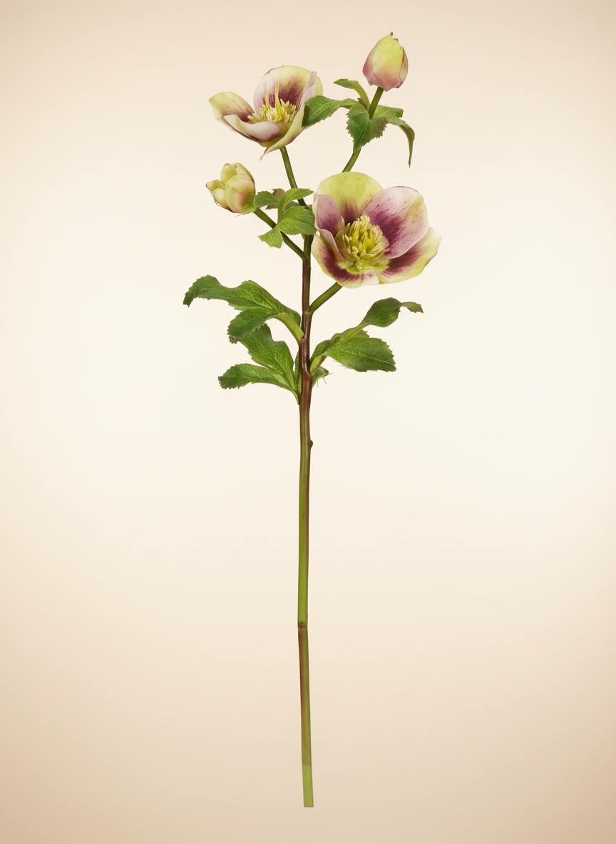 Real Touch Hellebores 18" - Lavender Green