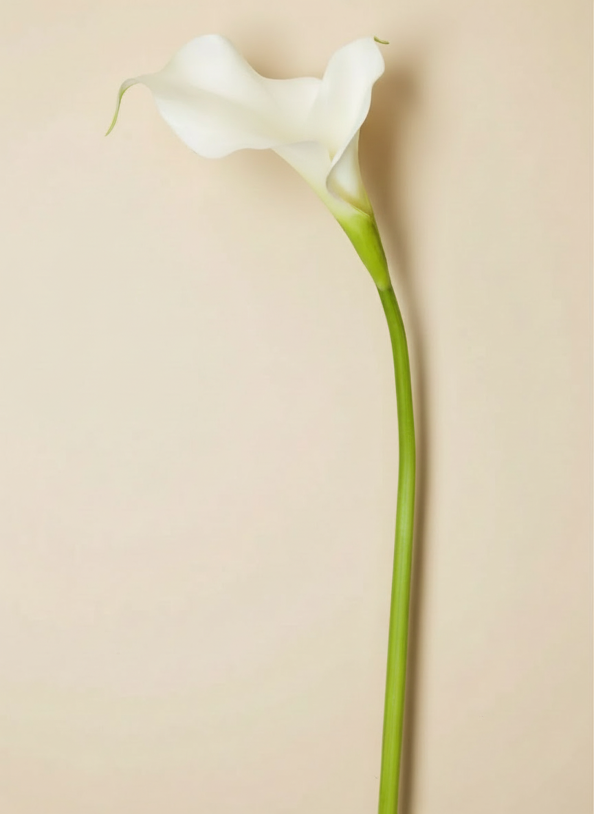 Calla Lily 21.5"