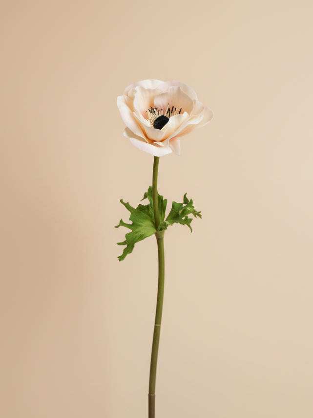 Real Touch Anemone - Cream Wine