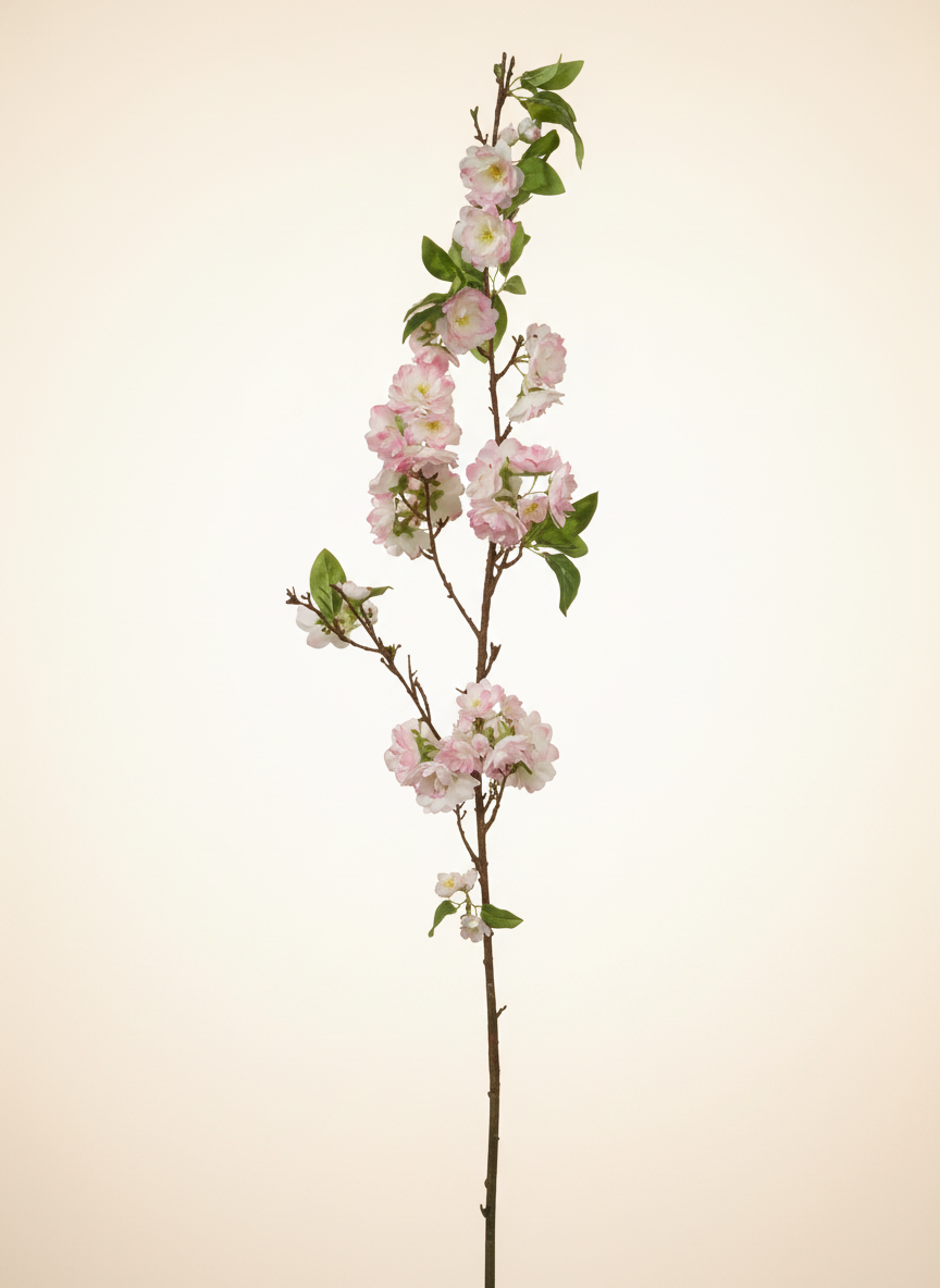Cherry Blossom 50" - Pink