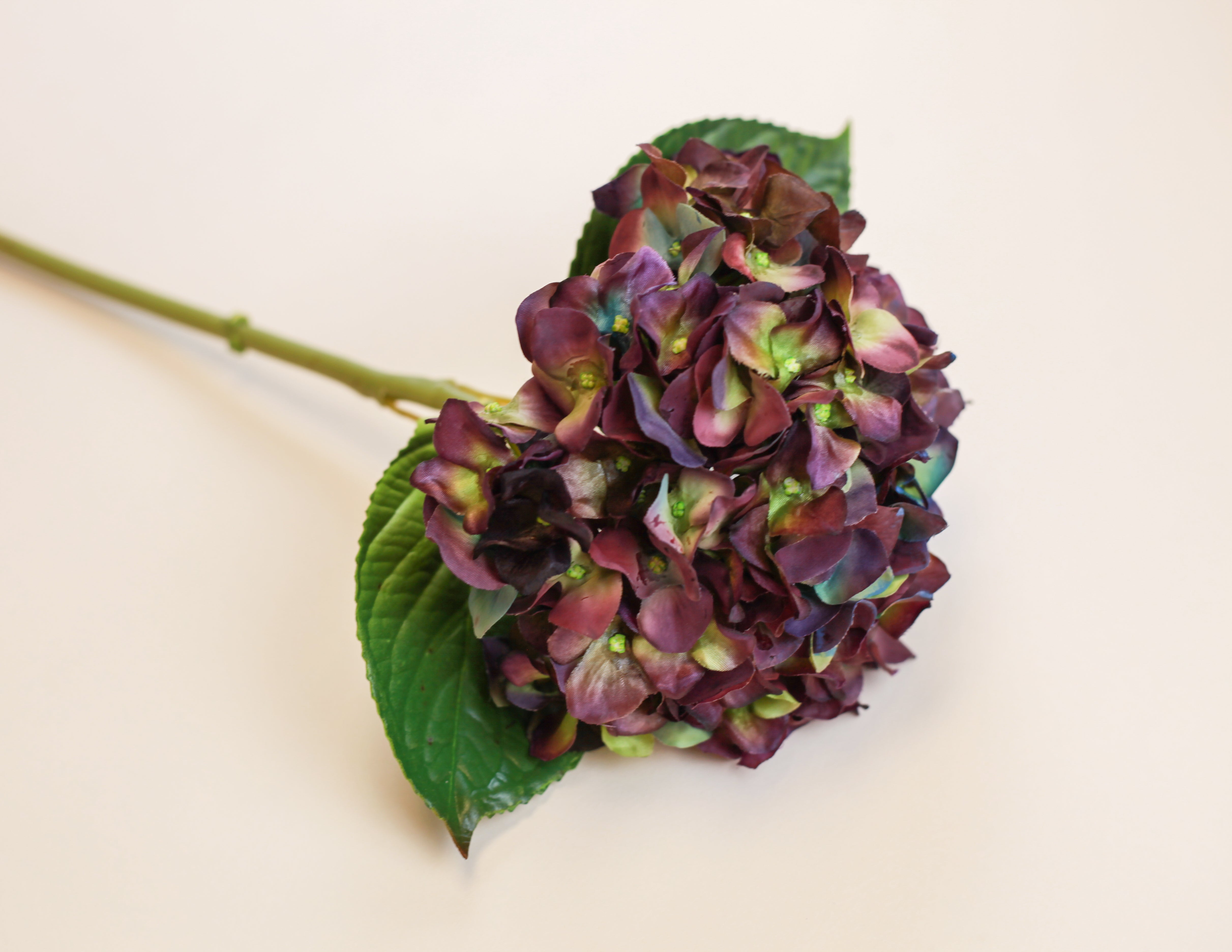 Mother Hydrangea - Purple