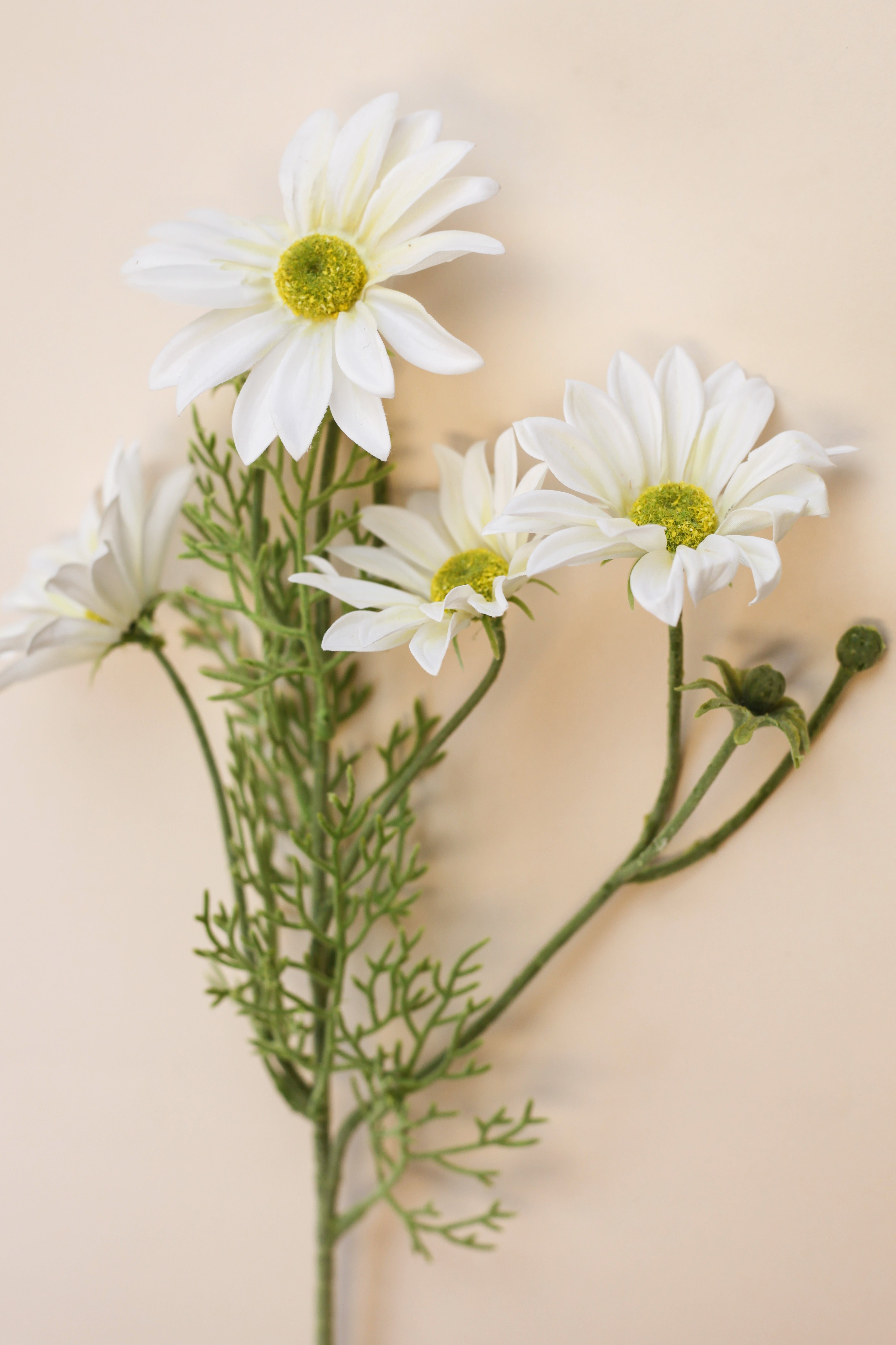 Coreopsis Spray 33"