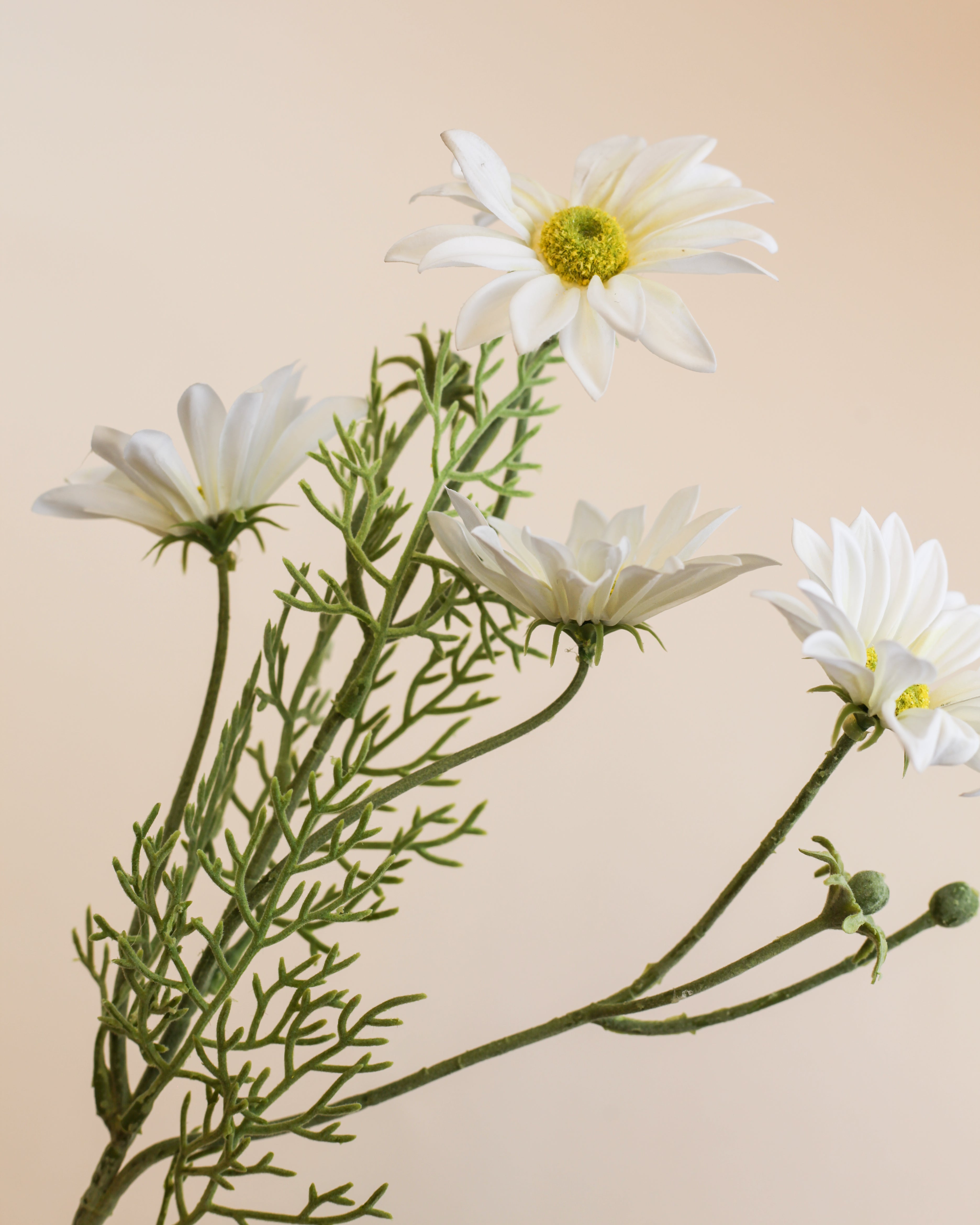 Coreopsis Spray 33"