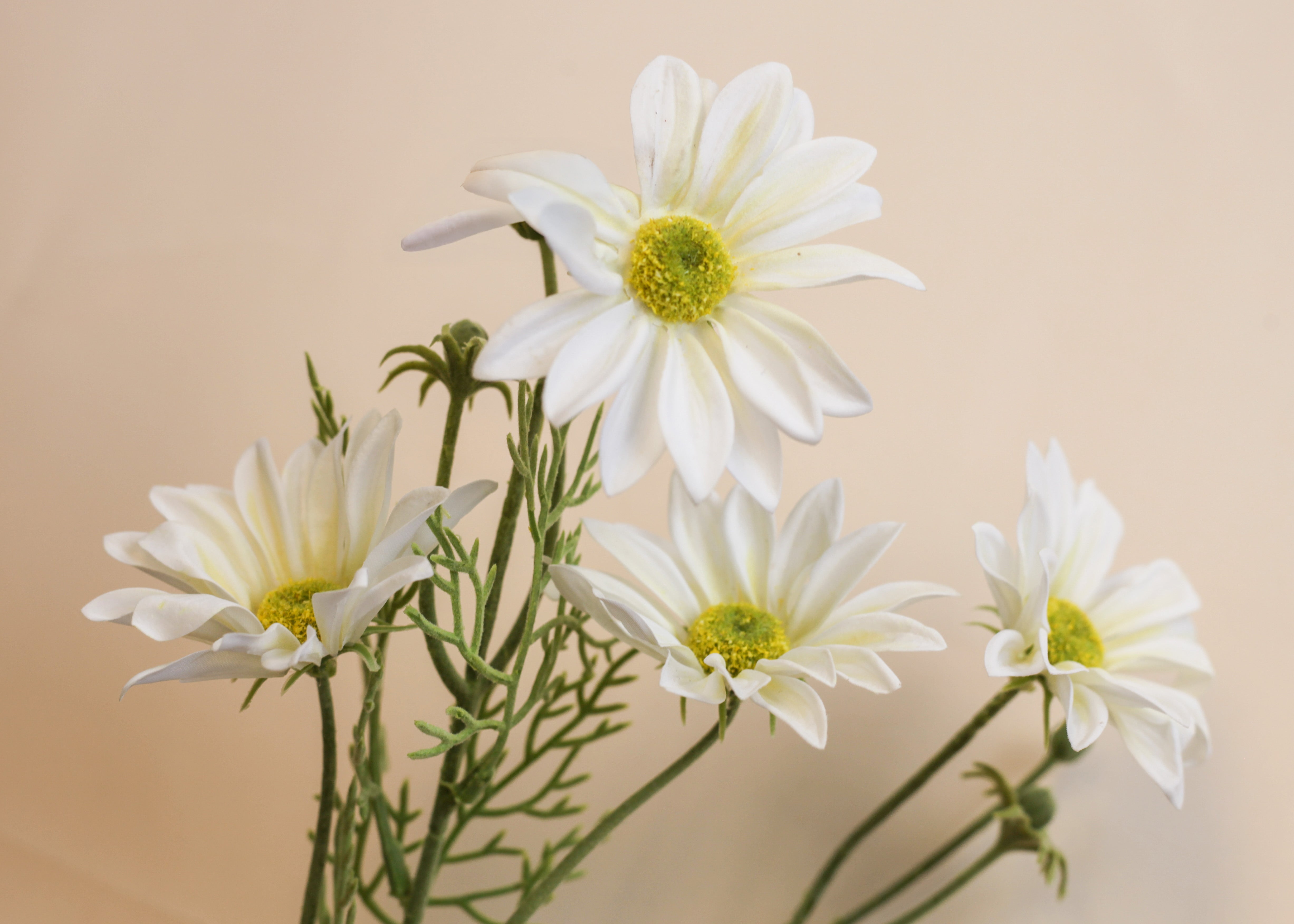Coreopsis Spray 33"