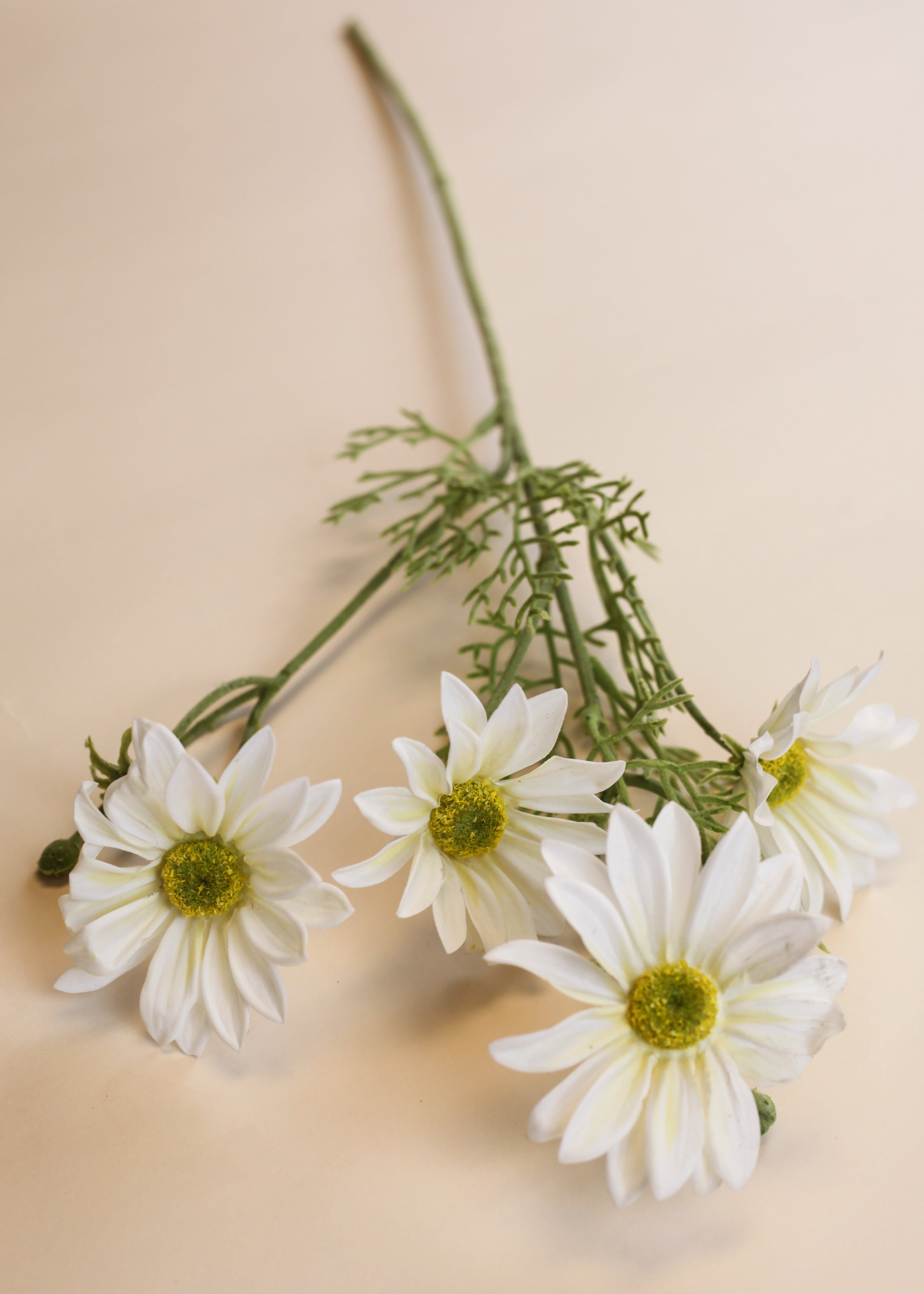 Coreopsis Spray 33"