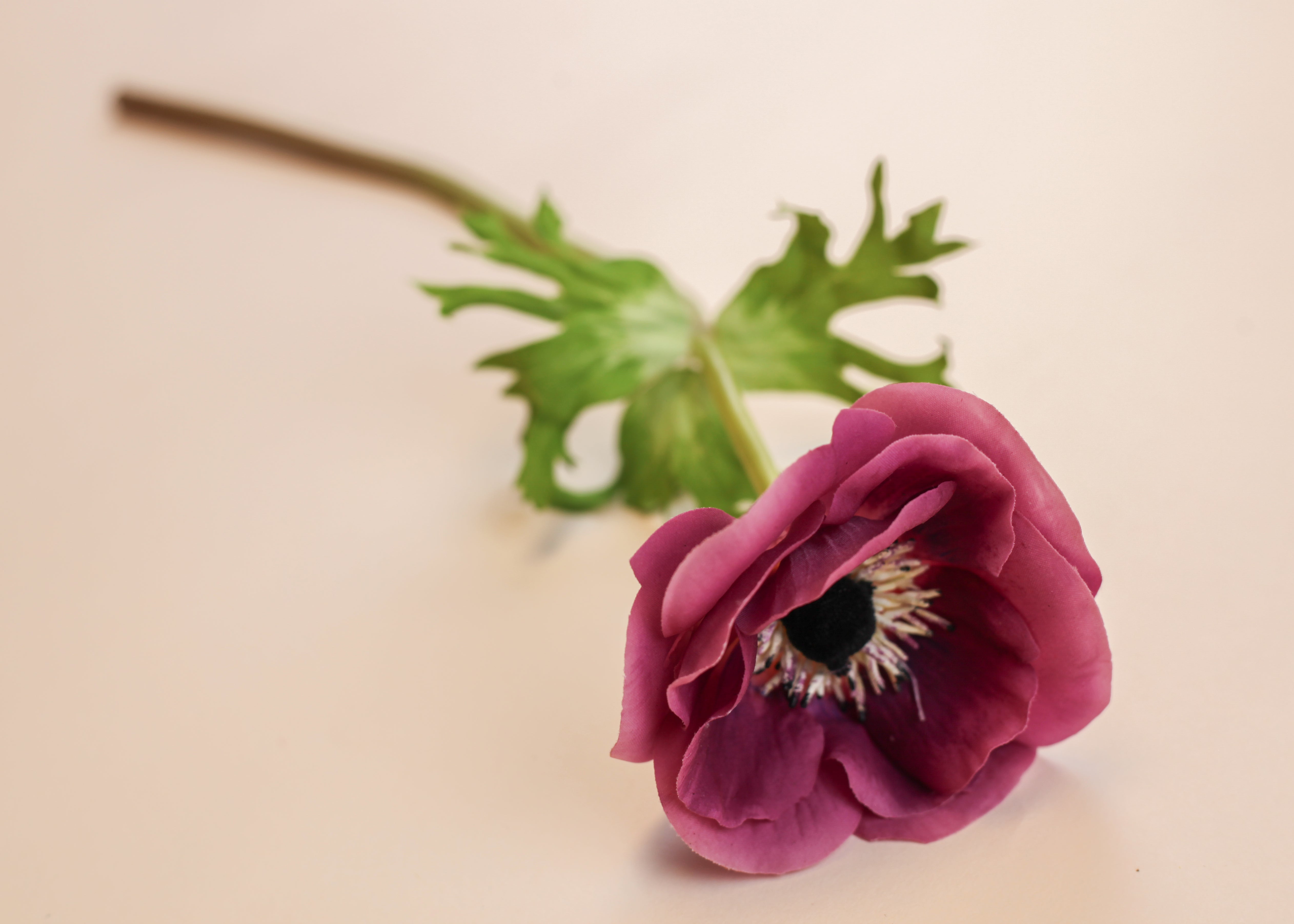 Real Touch Mother Poppy Anemone - Purple
