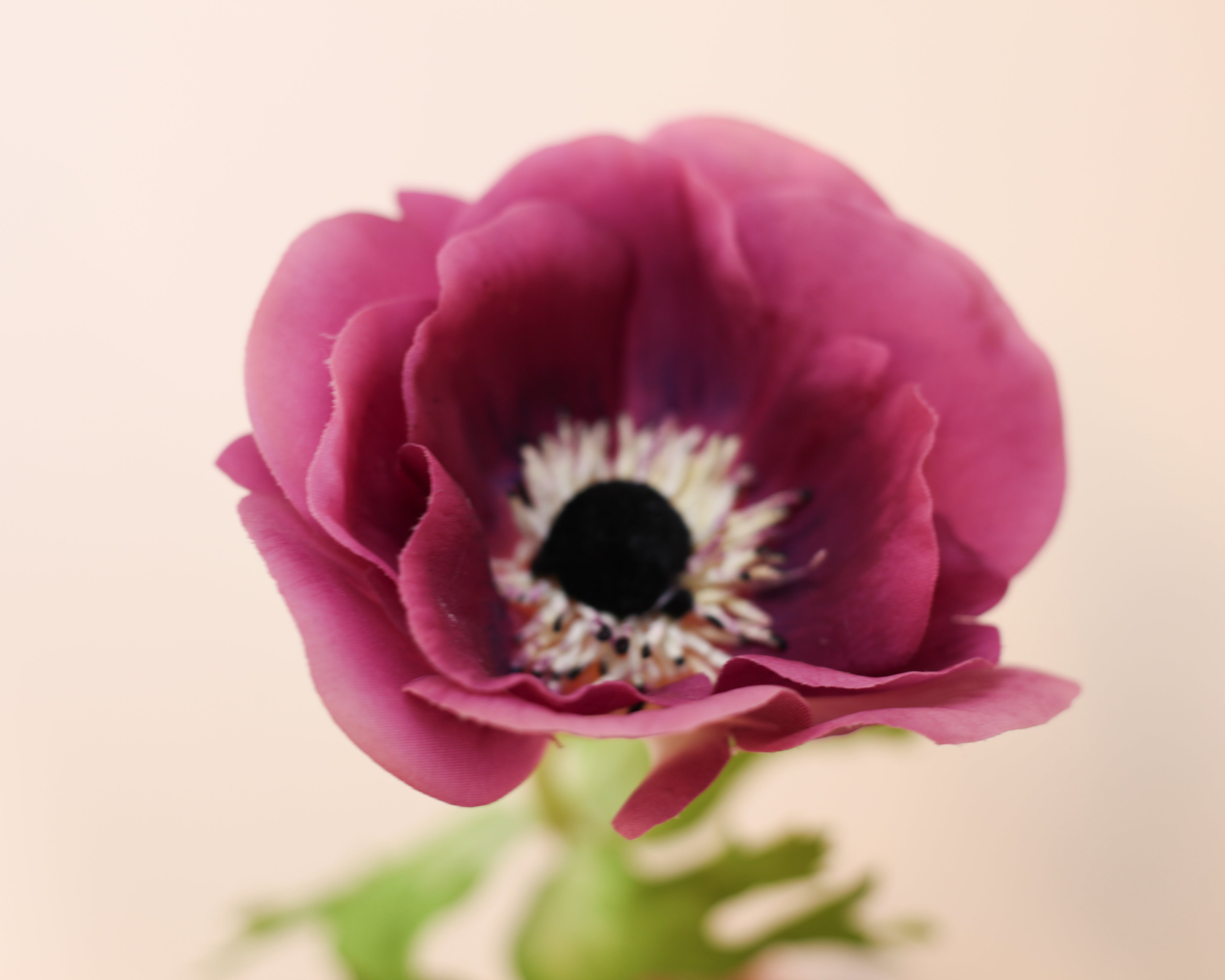 Real Touch Mother Poppy Anemone - Purple