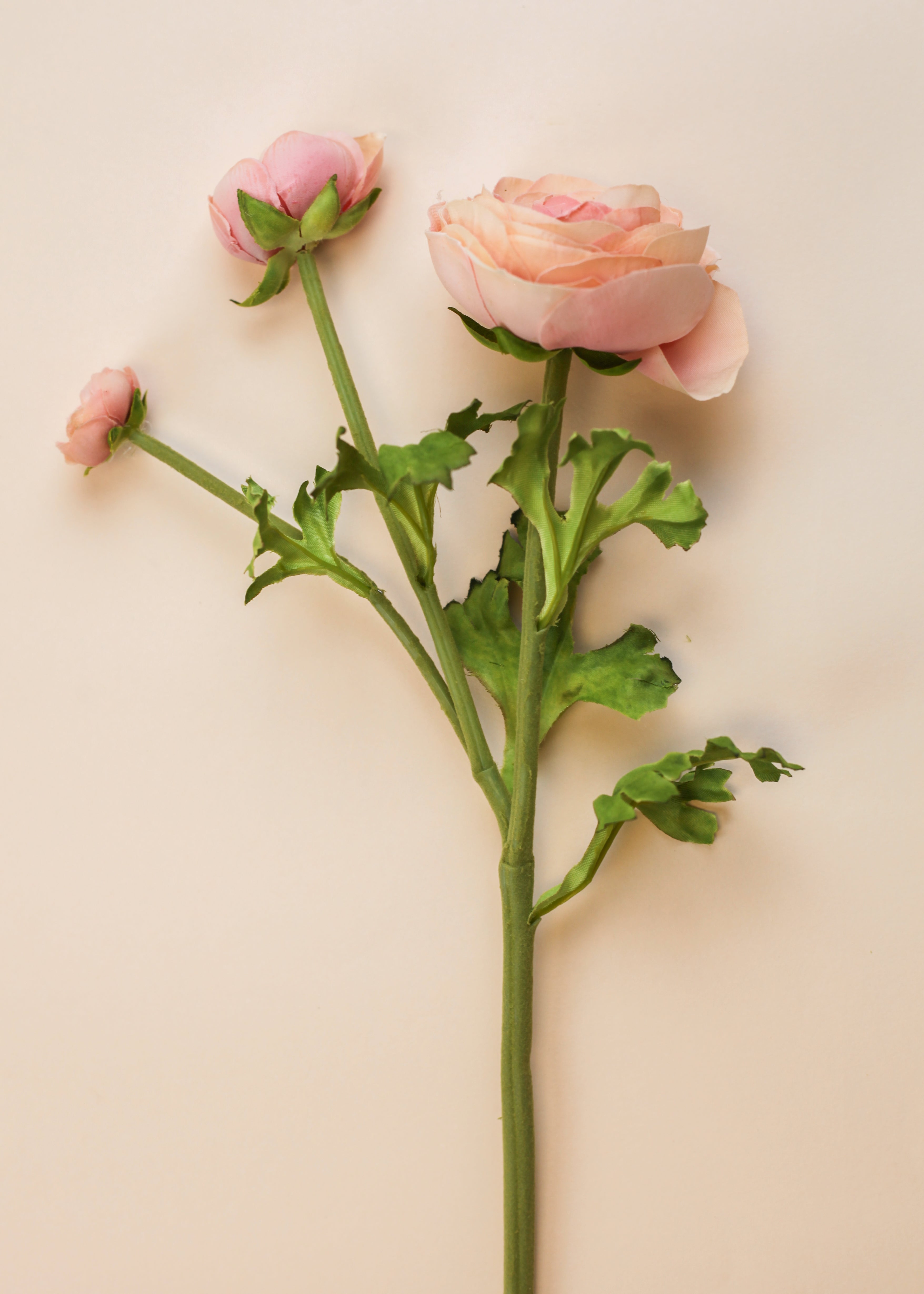 Real Touch Ranunculus - Peach