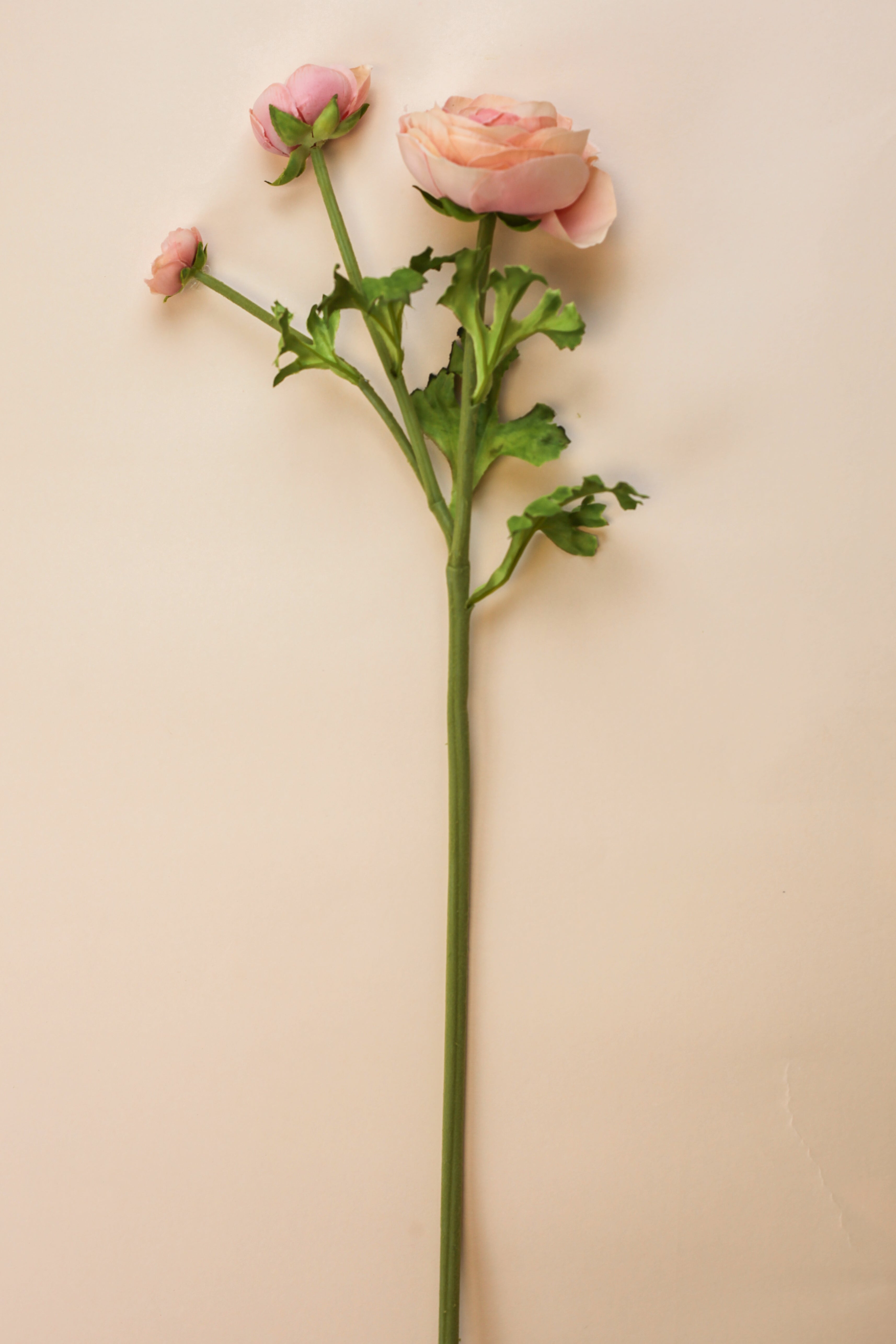 Real Touch Ranunculus - Peach