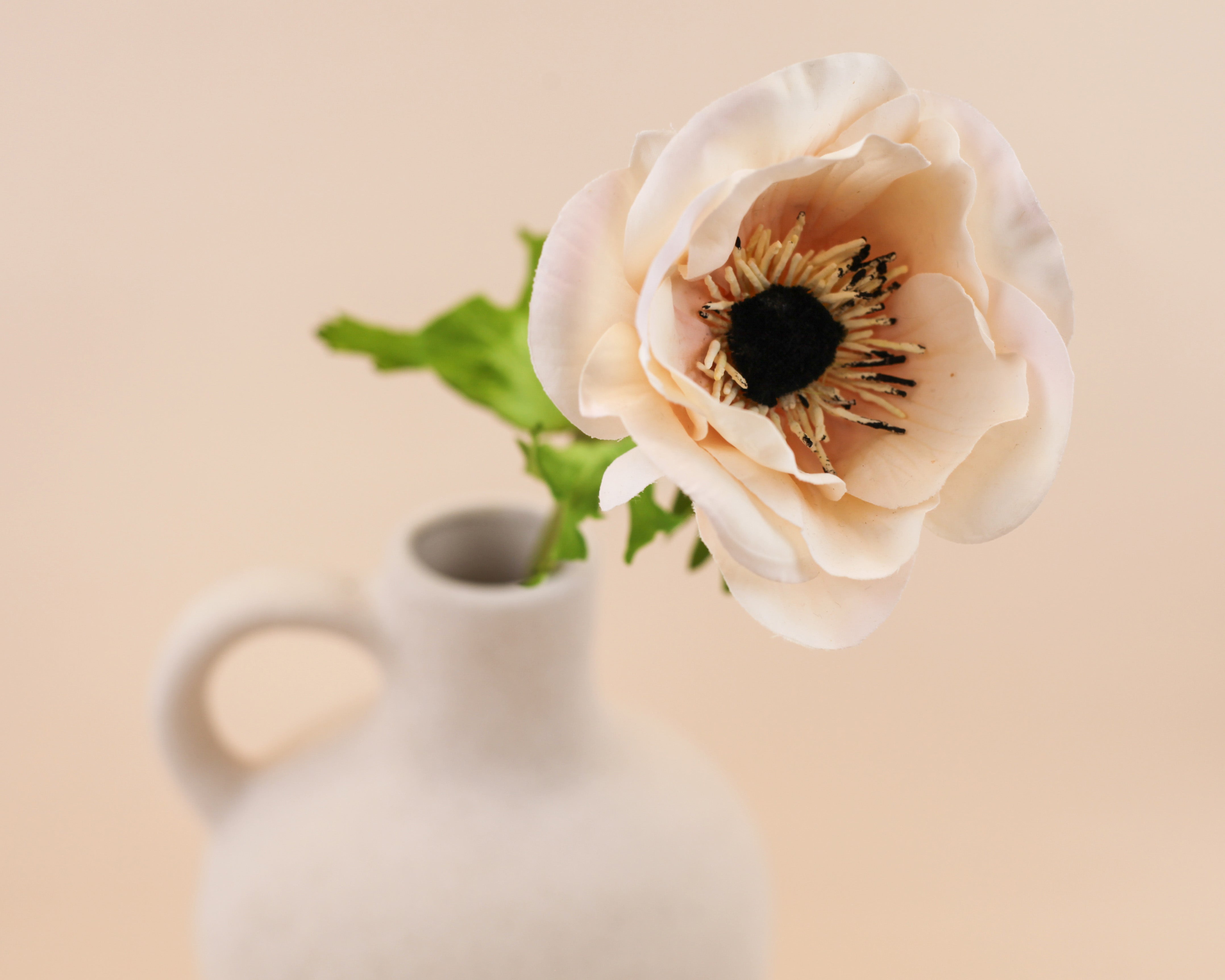 Real Touch Anemone - Cream Wine