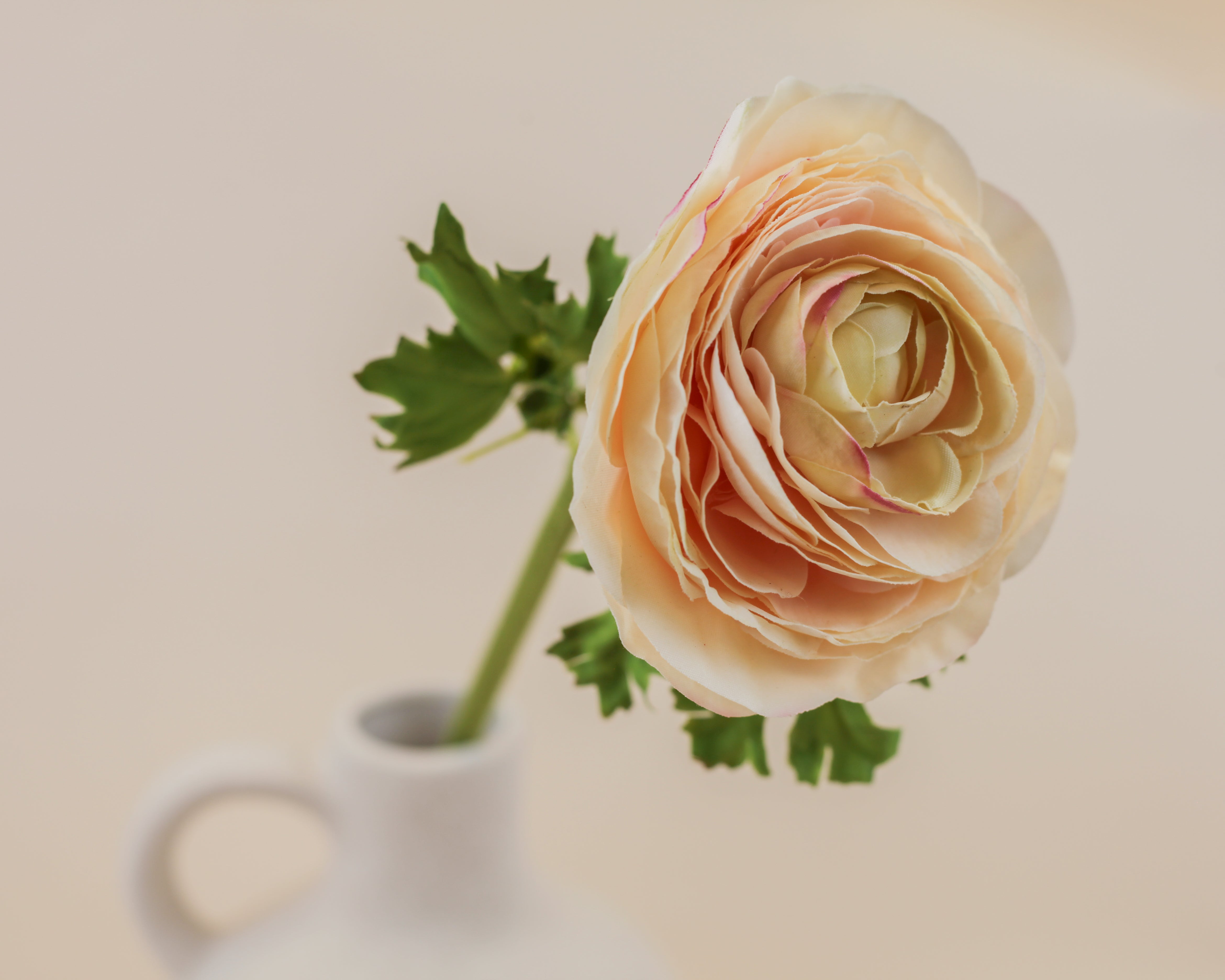 Real Touch Ranunculus - Cream Wine