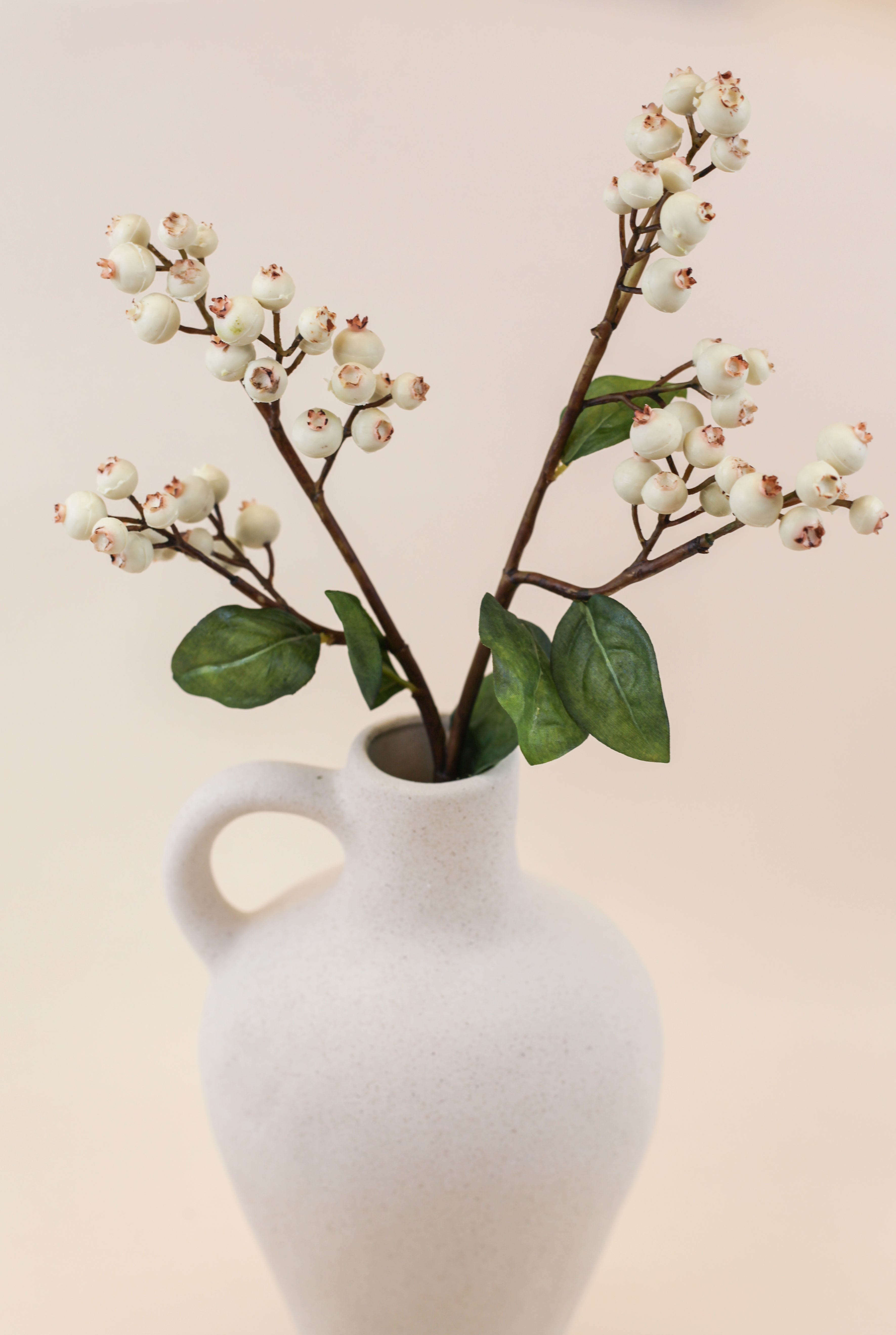 White Blueberry Branch