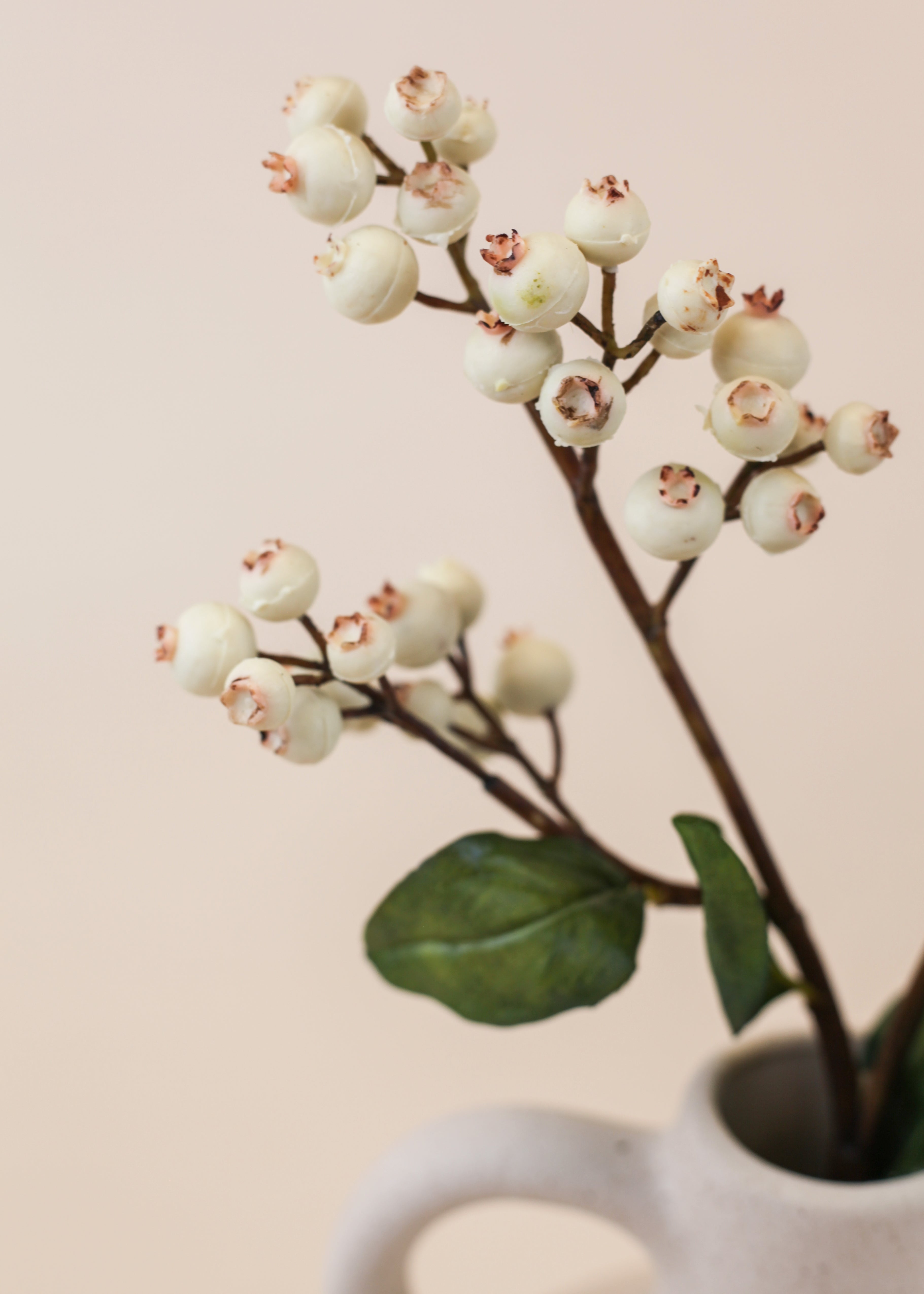 White Blueberry Branch