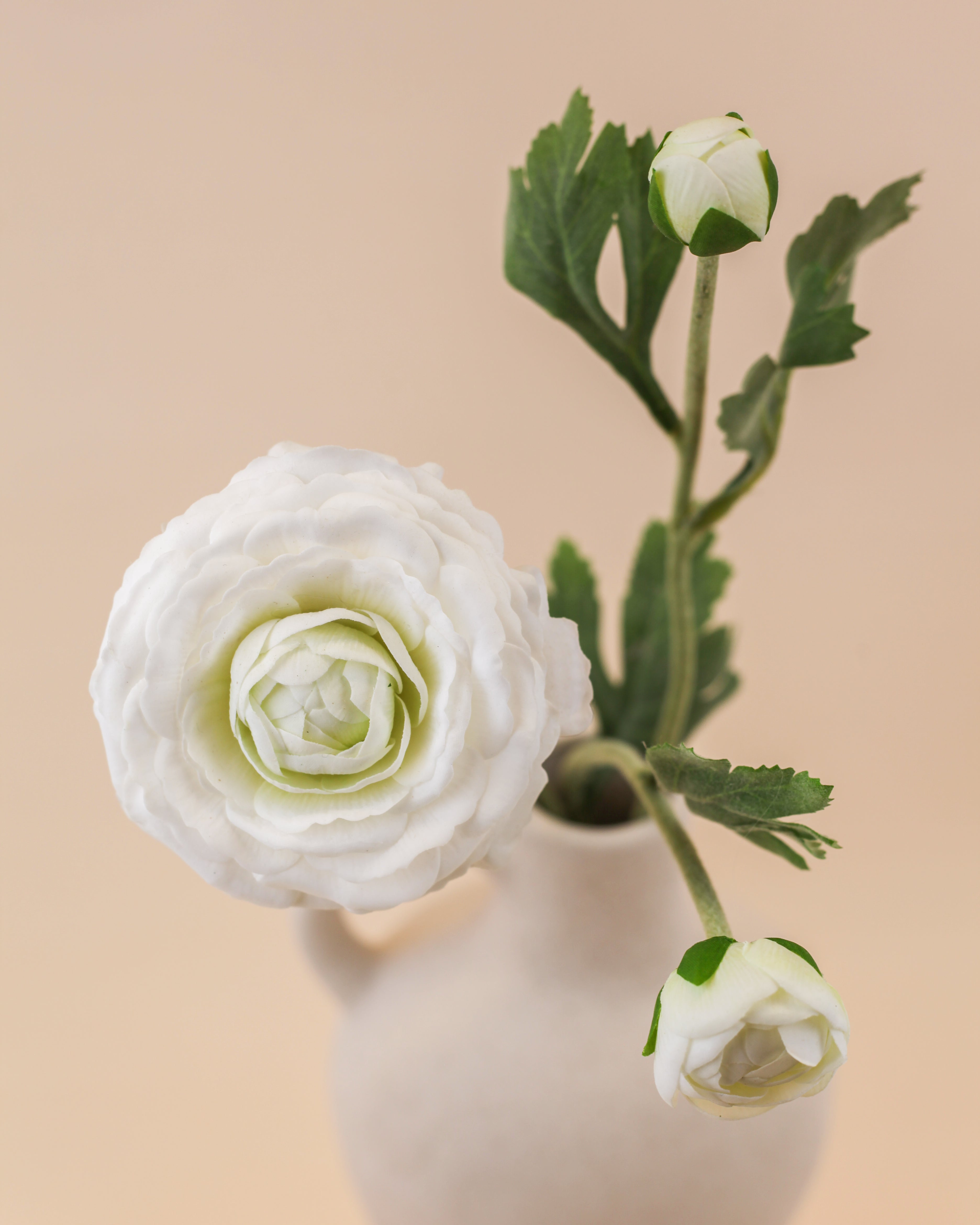 Real Touch Ranunculus - White 18"