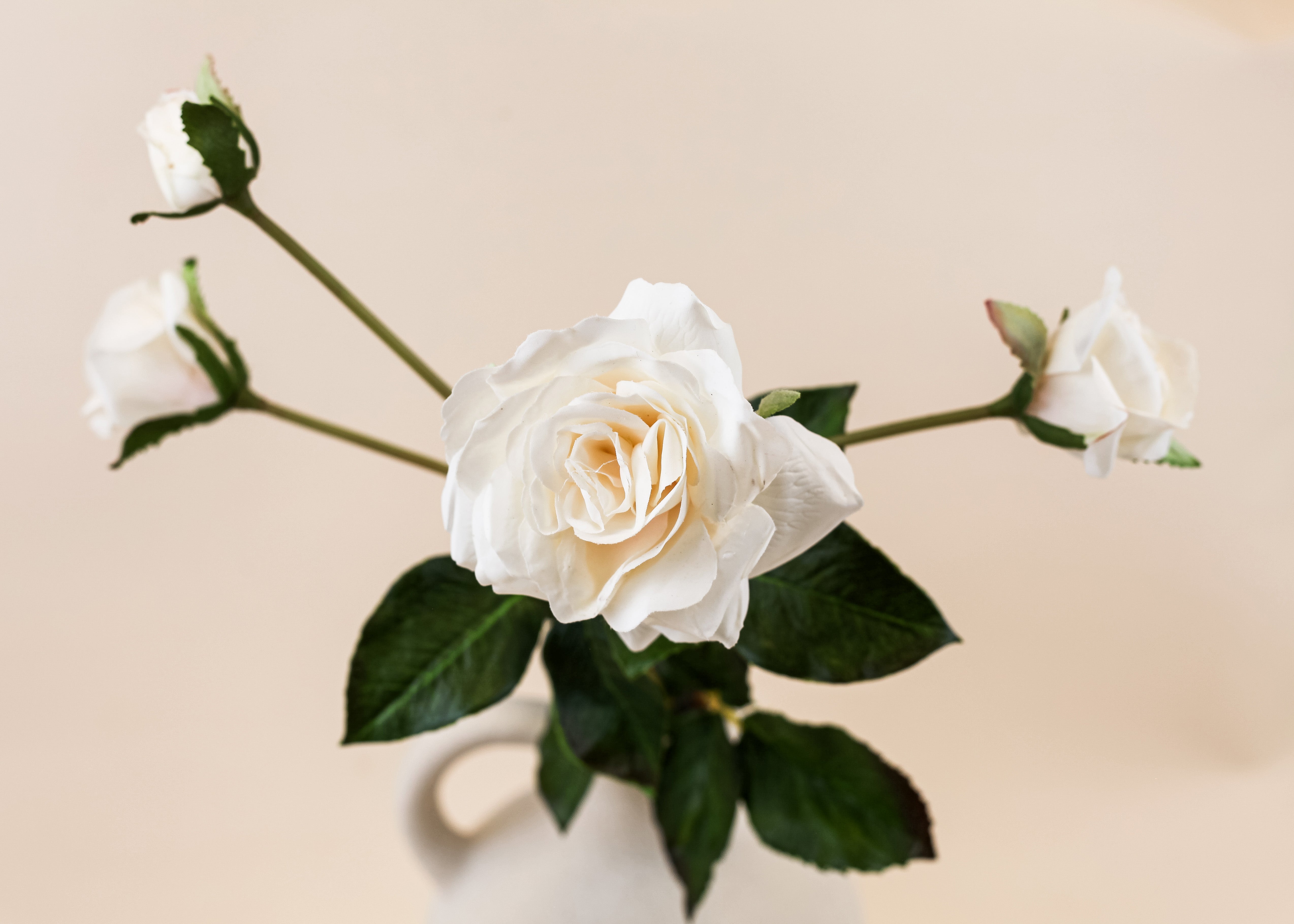 Real Touch Beatrix Potter Rose Branch 24"