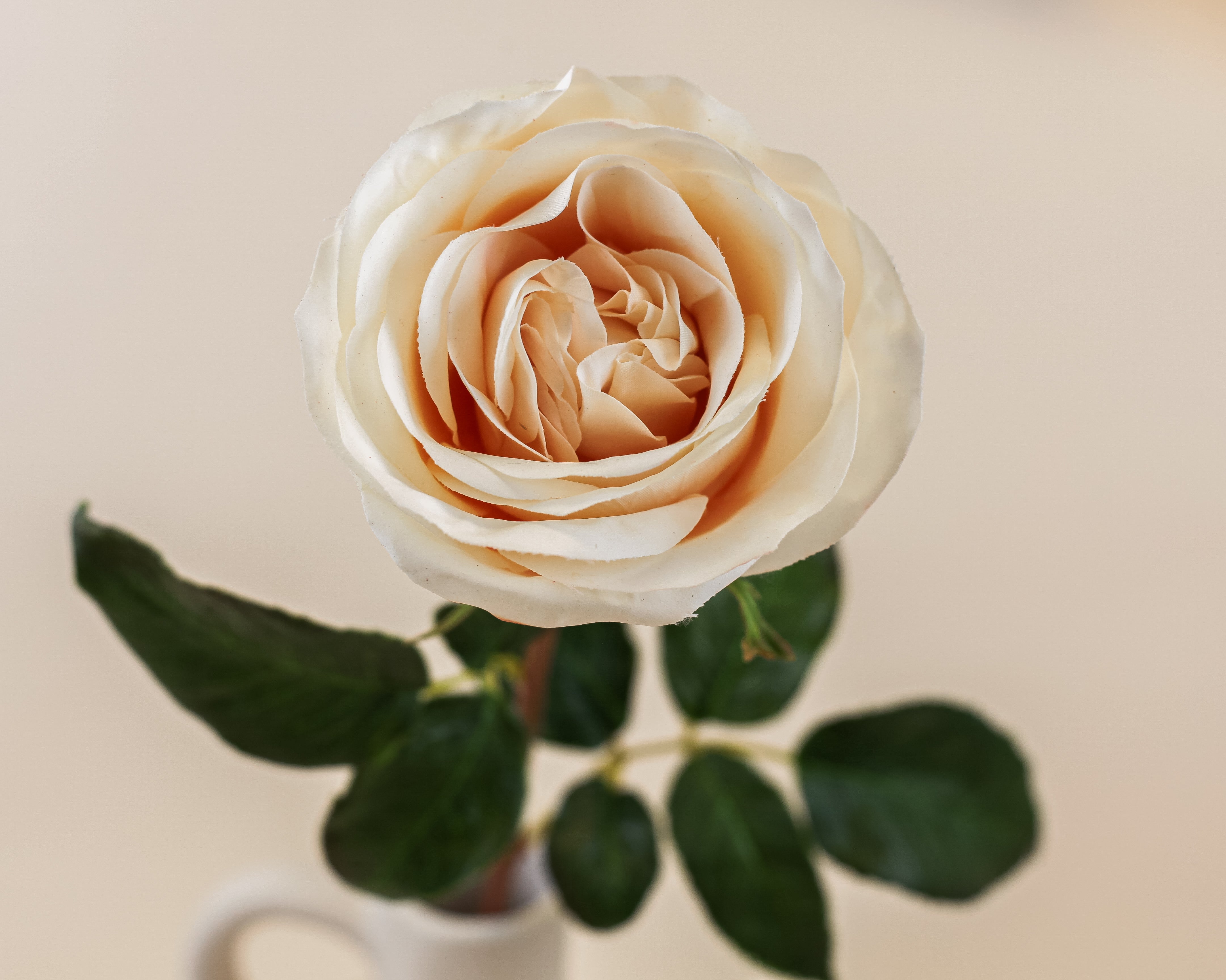 Real Touch Blushing Queen Rose 20"