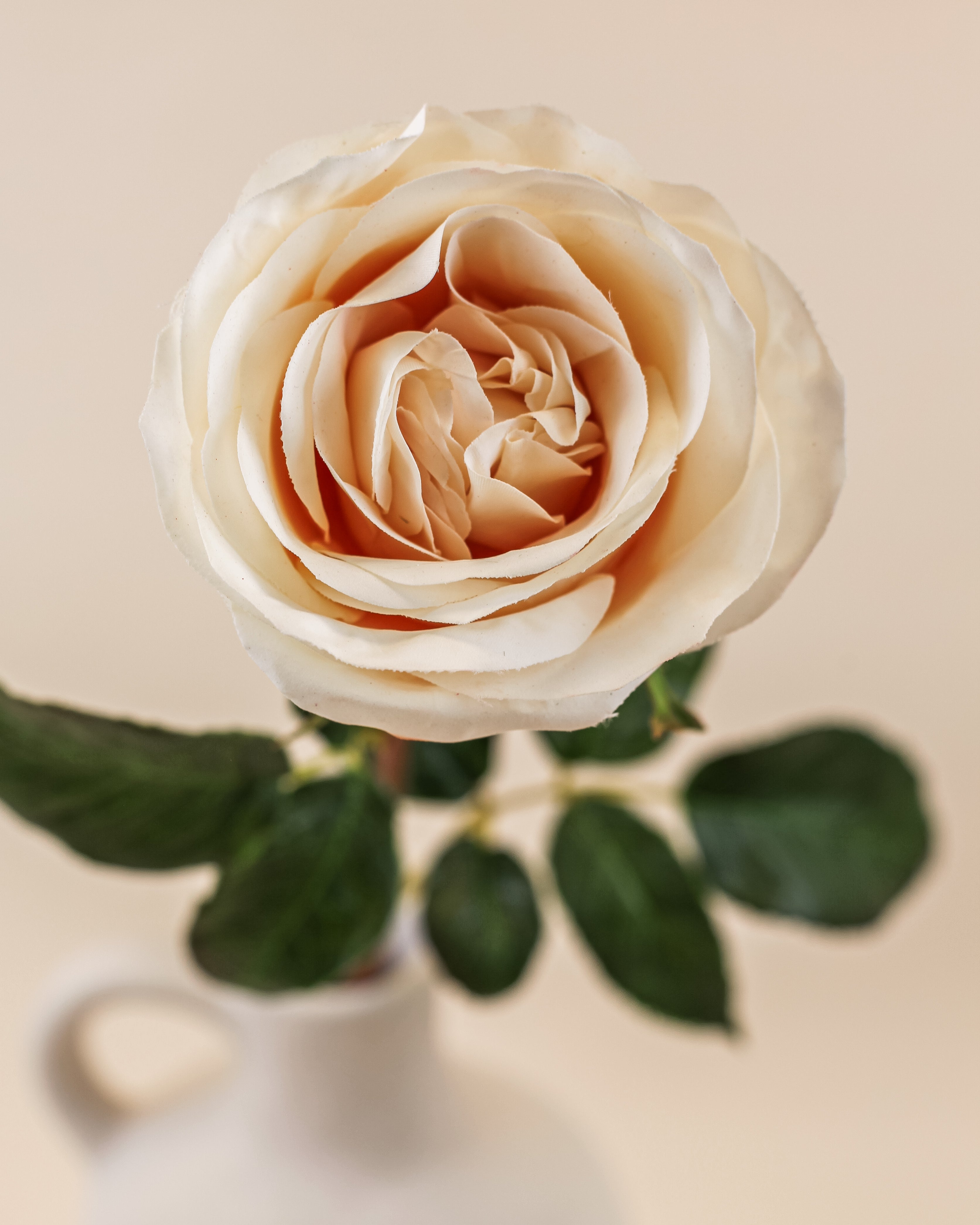 Real Touch Blushing Queen Rose 20"