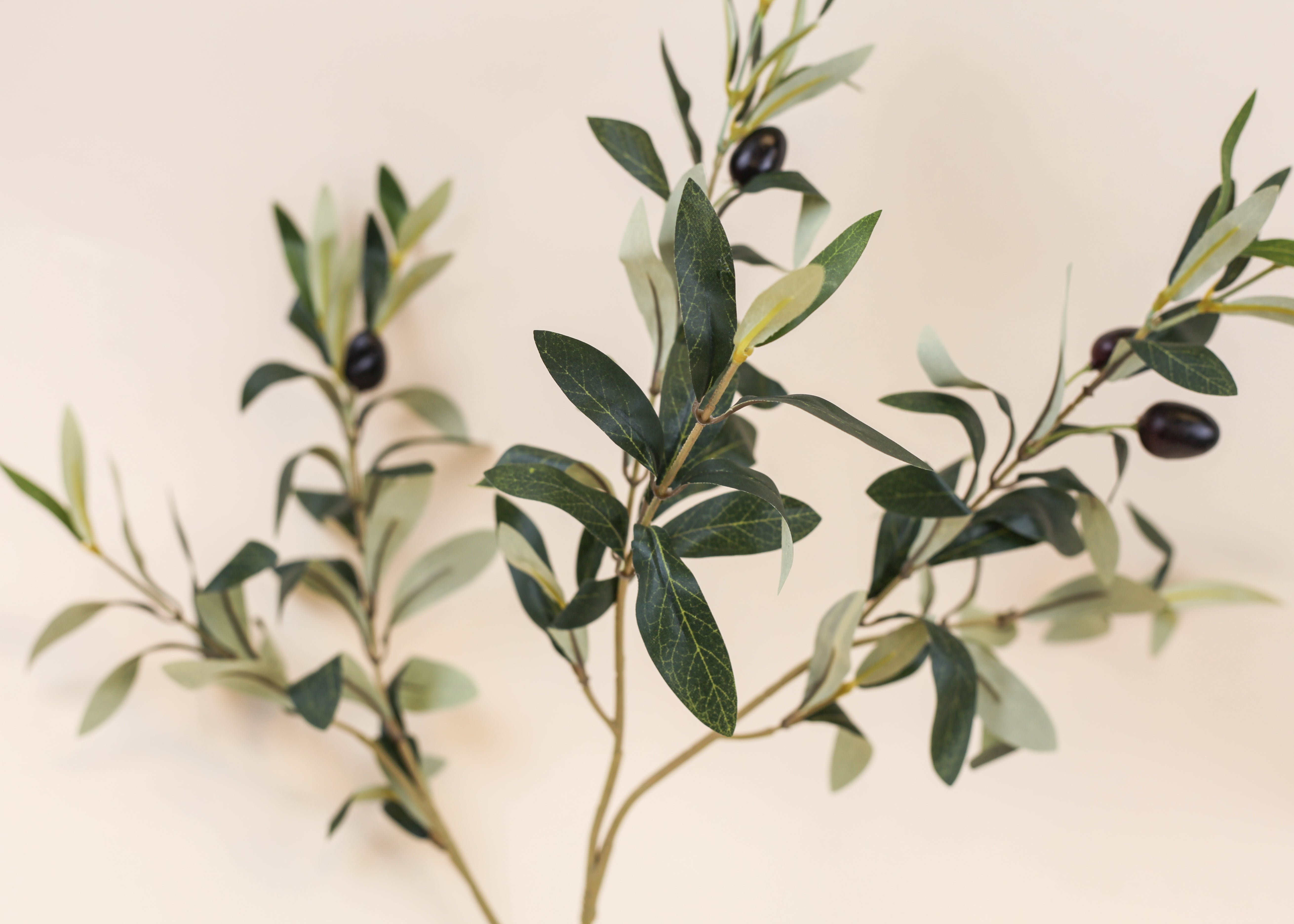 Olive Branch 22"