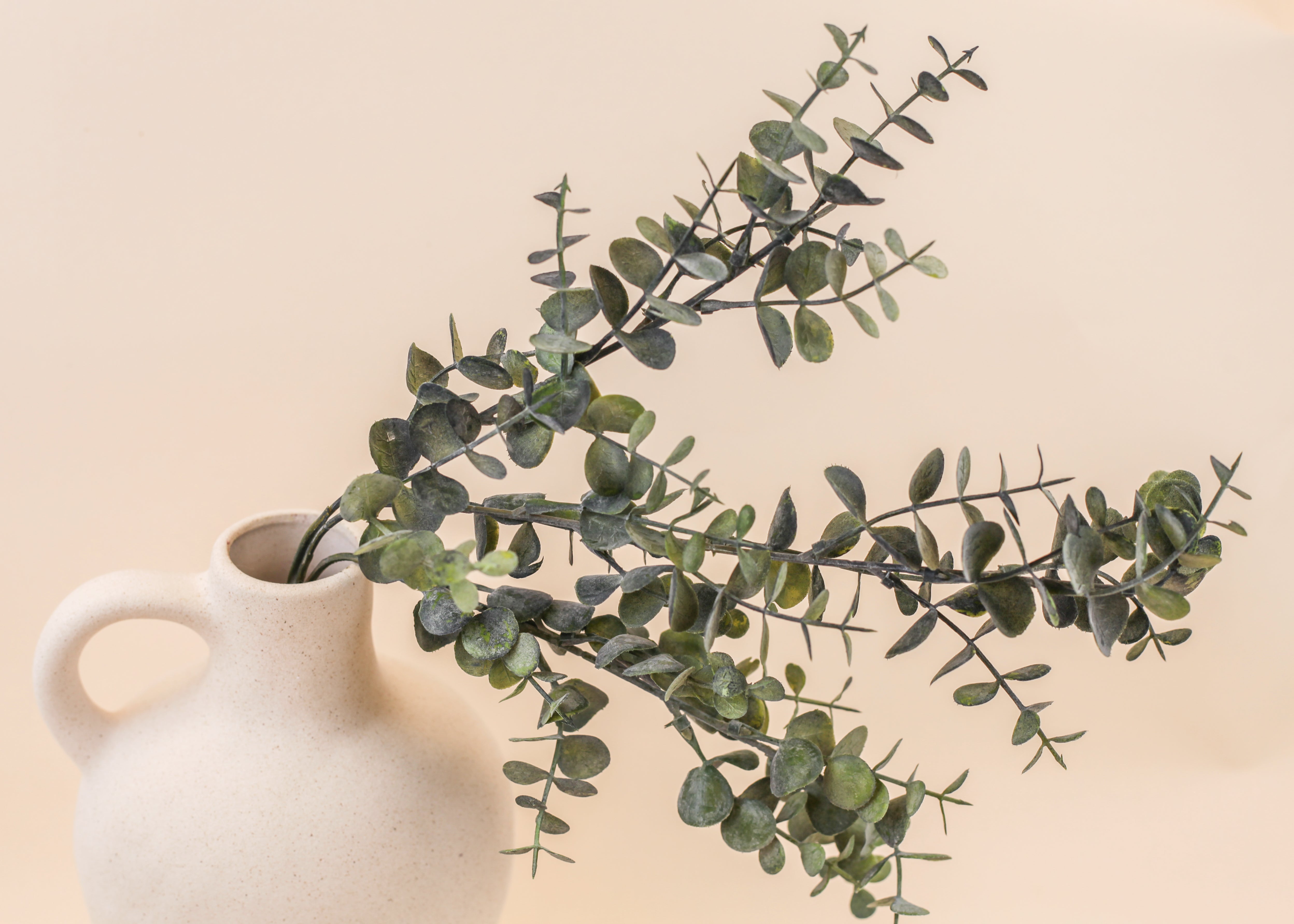 Small Leaf Eucalyptus