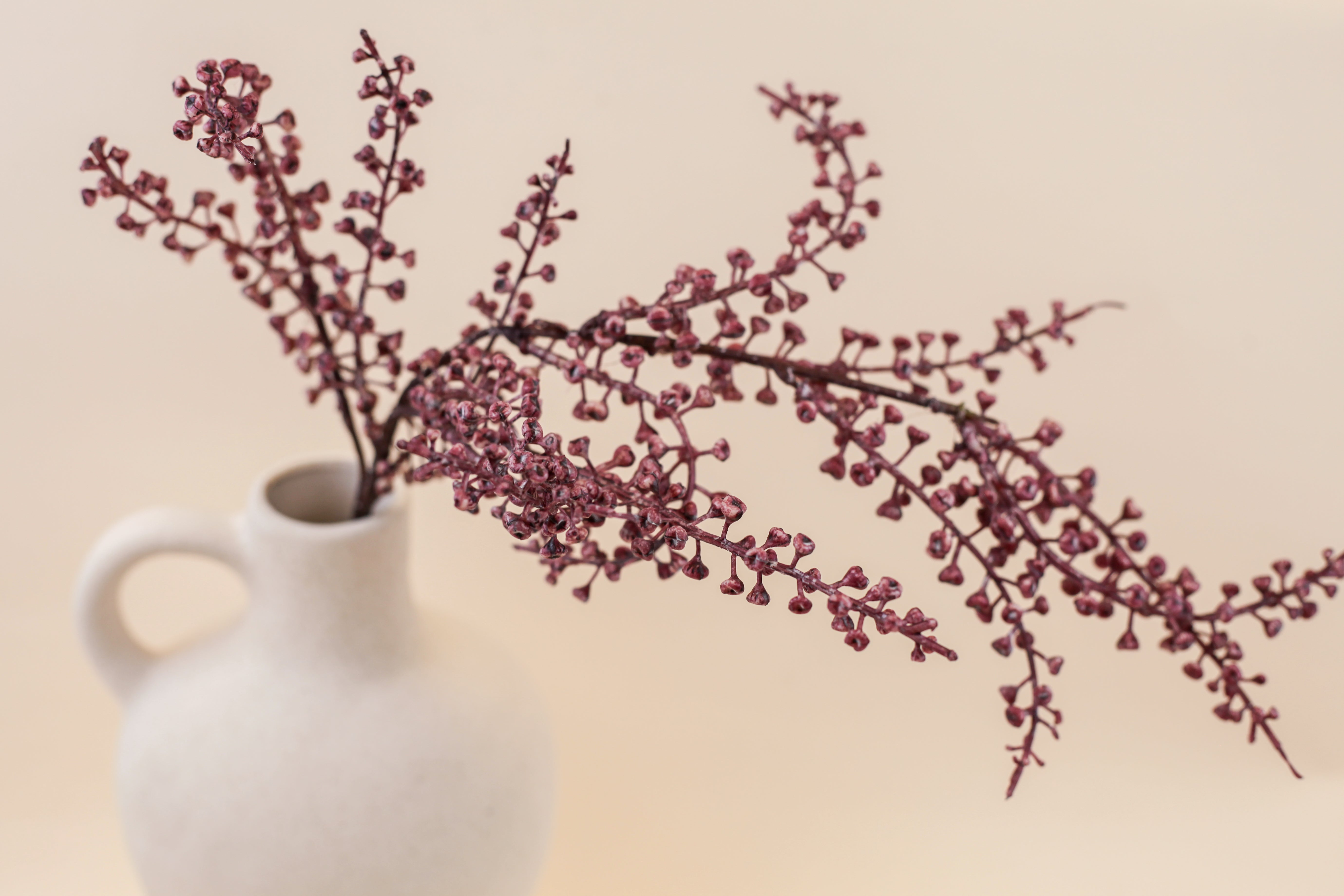 Mulberry Branch