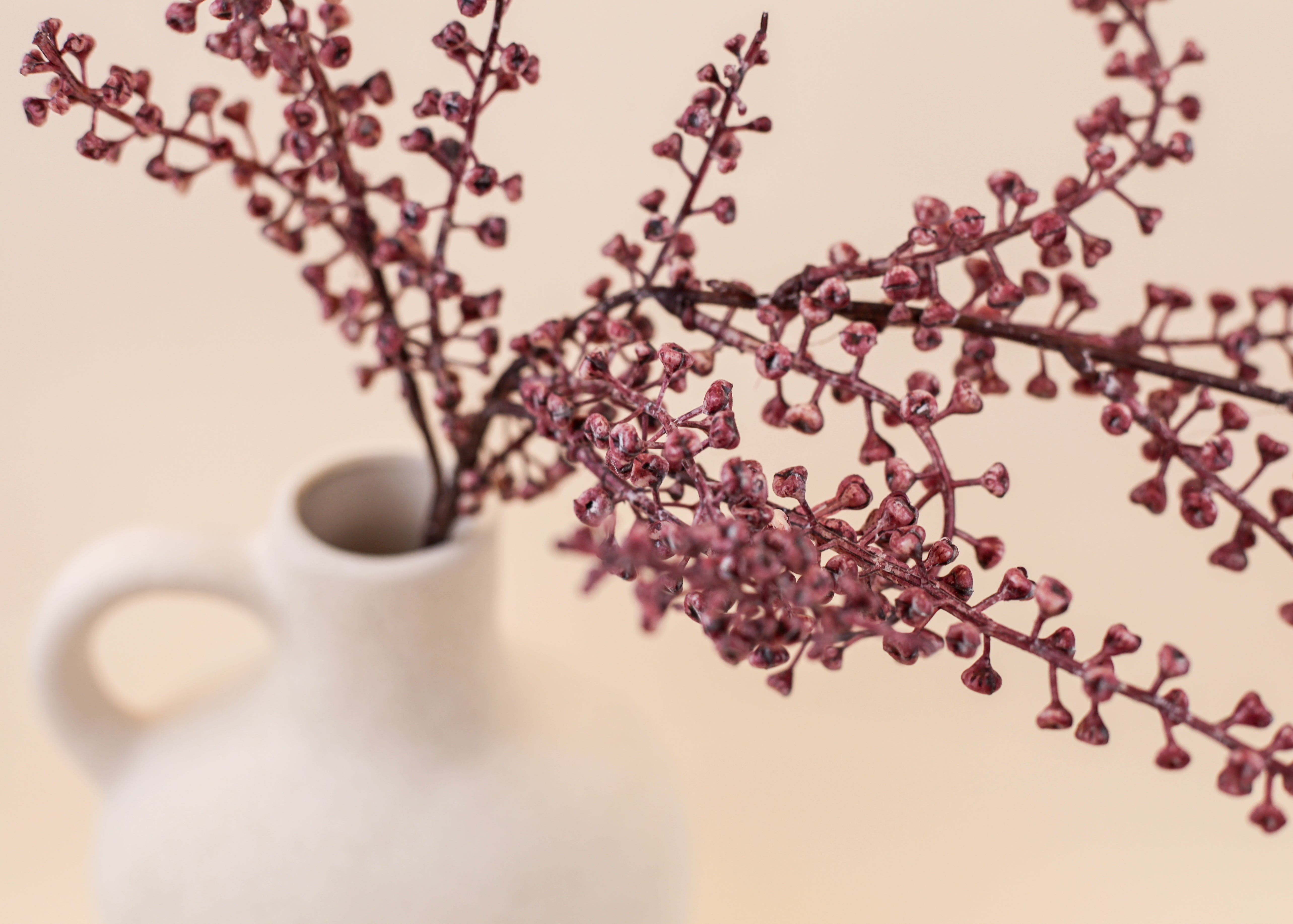 Mulberry Branch