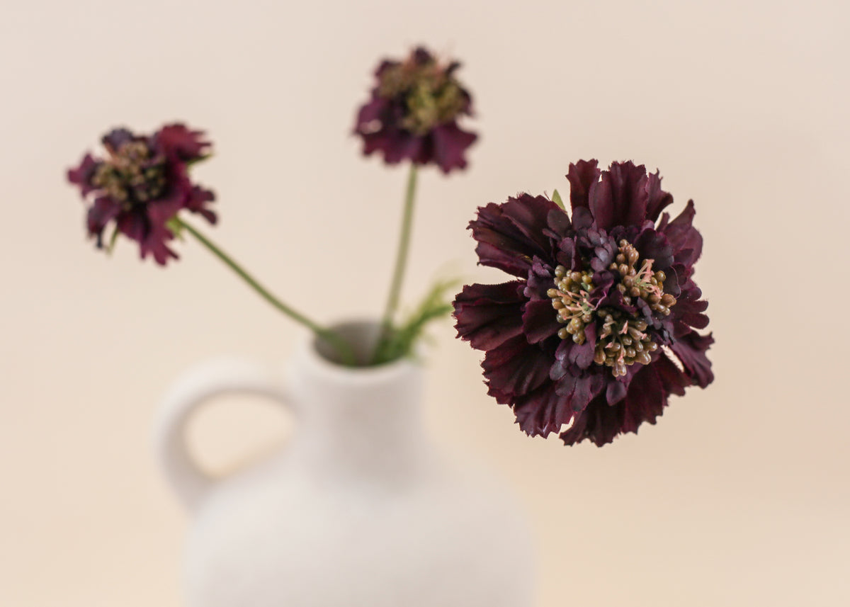 Scabiosa Spray - Burgundy