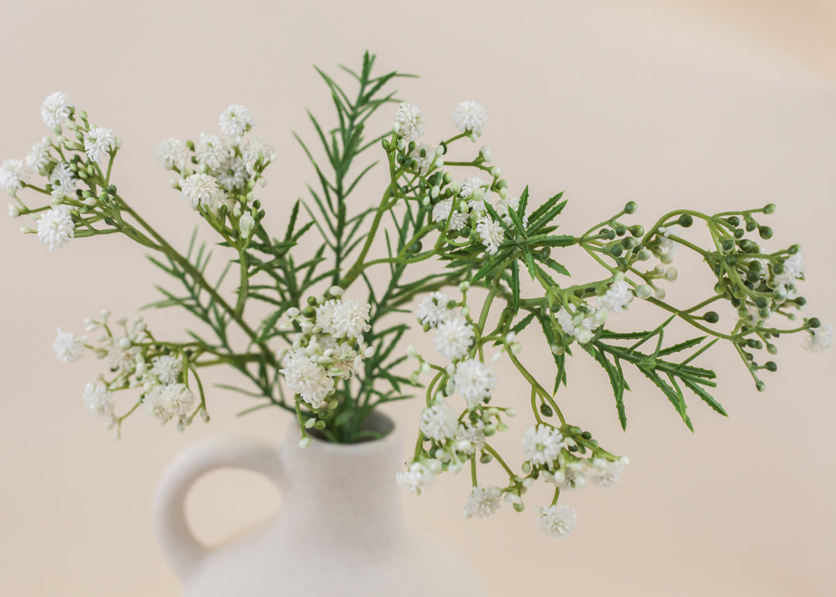Thyme Baby's Breath