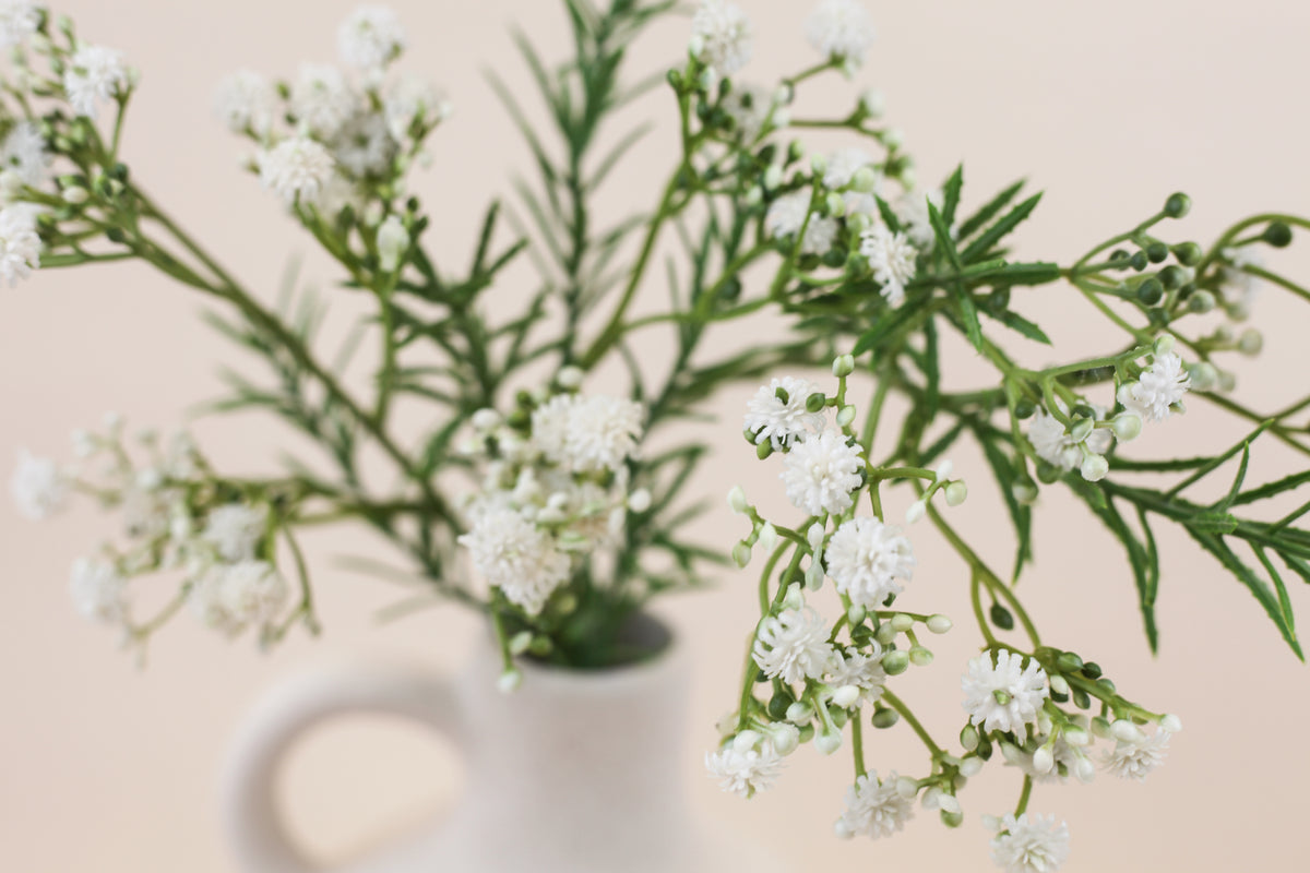 Thyme Baby's Breath