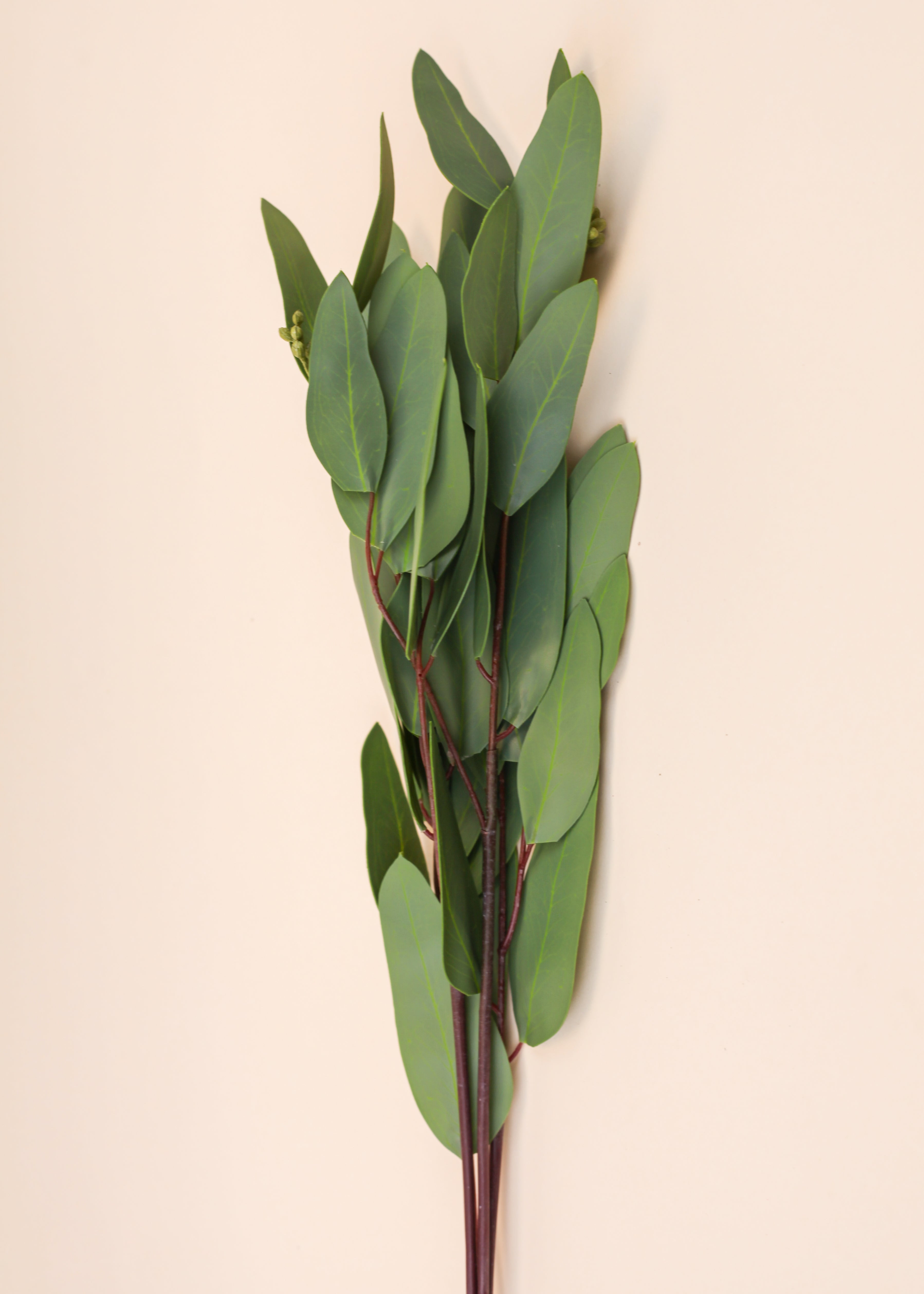 Long Eucalyptus Spray 30"