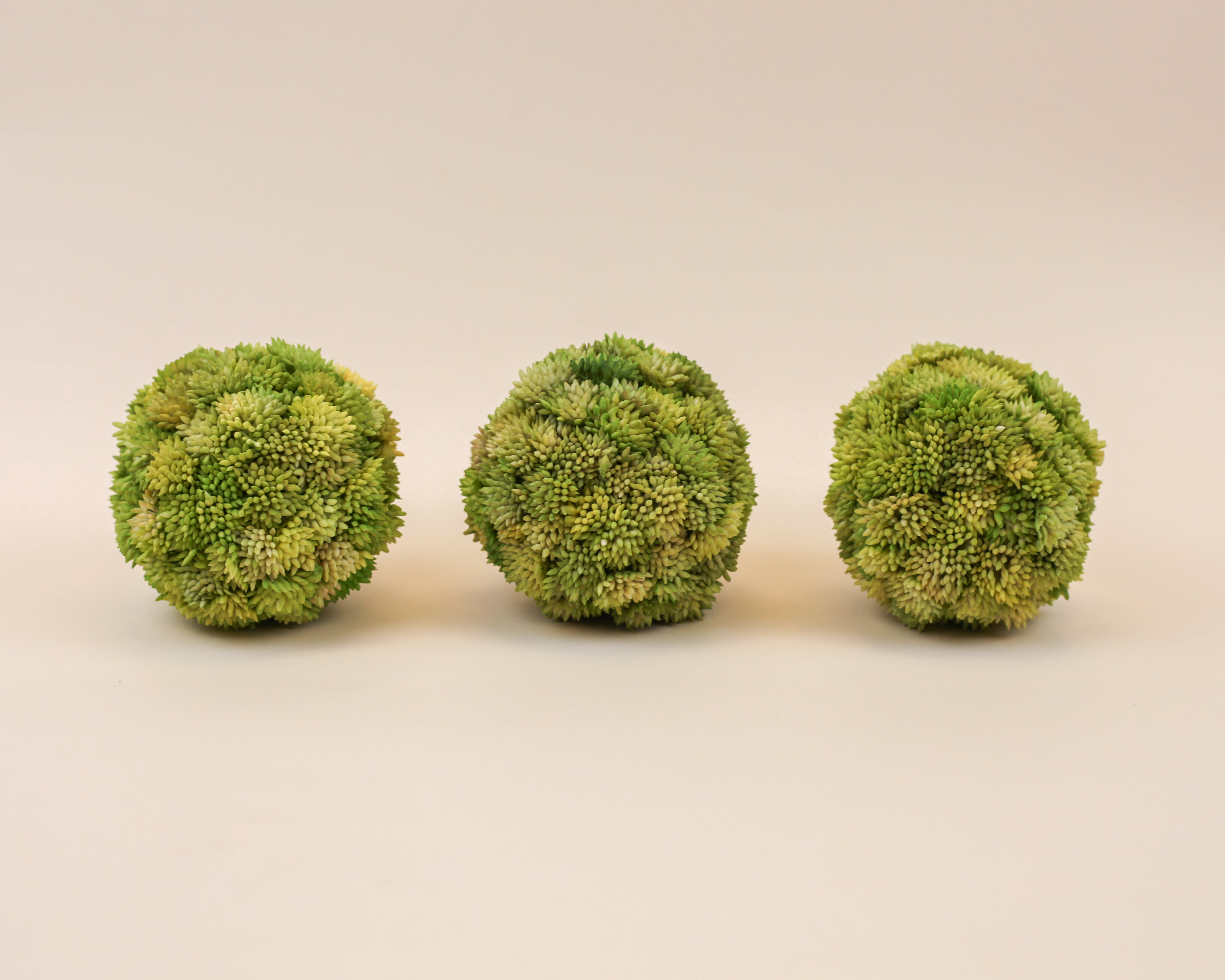 Moss Spheres - Pack of 3