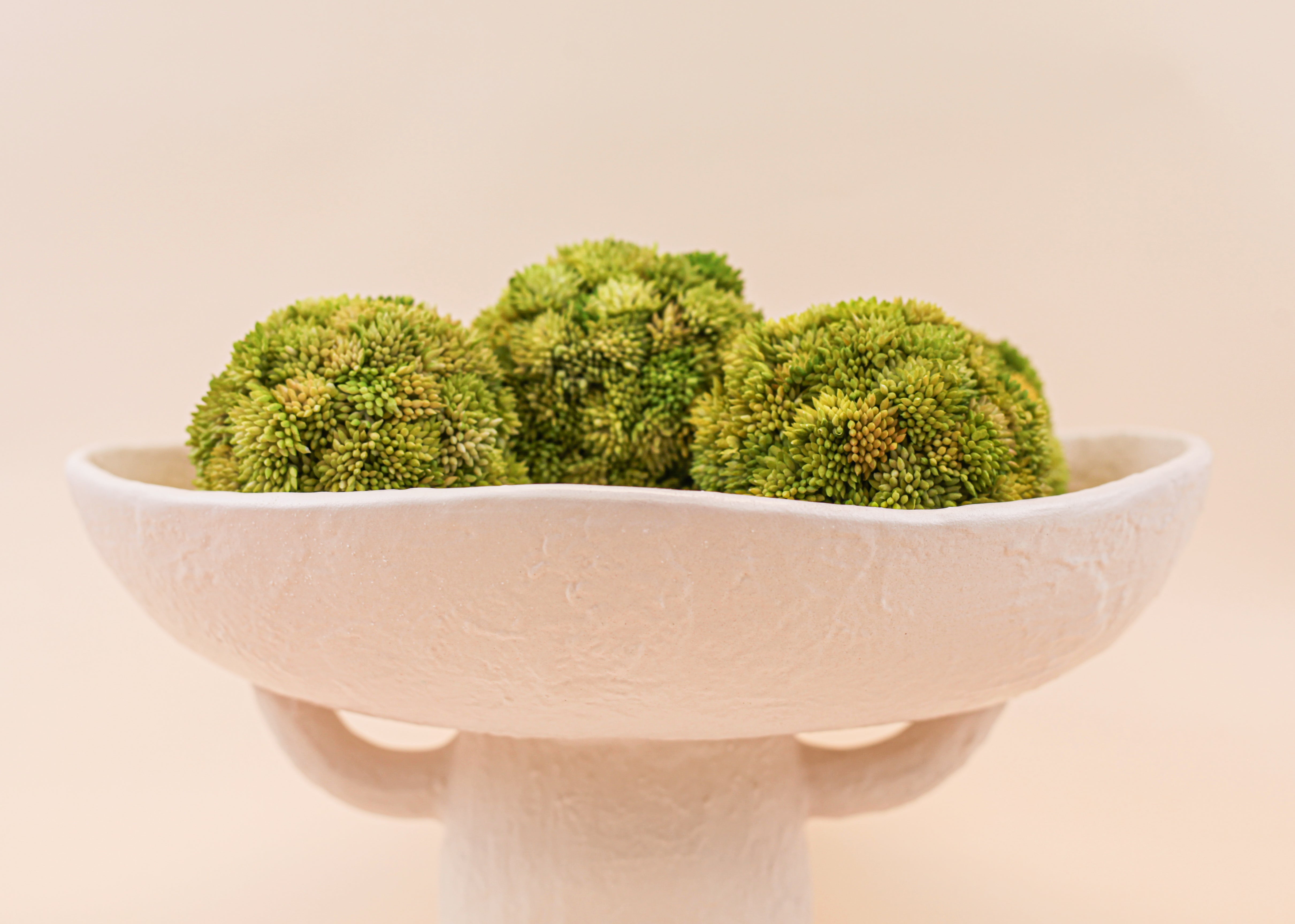 Moss Spheres - Pack of 3