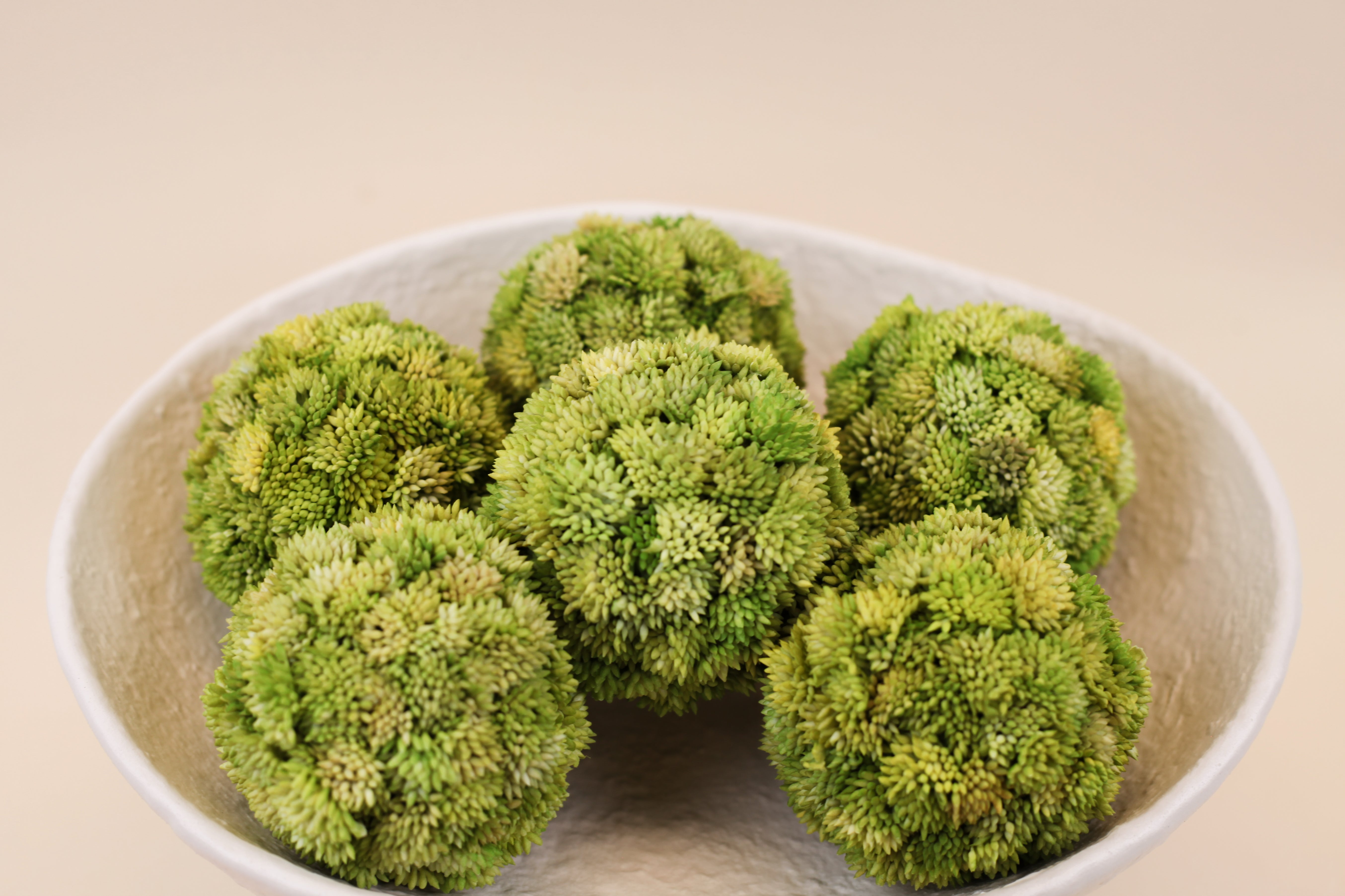 Moss Spheres - Pack of 3