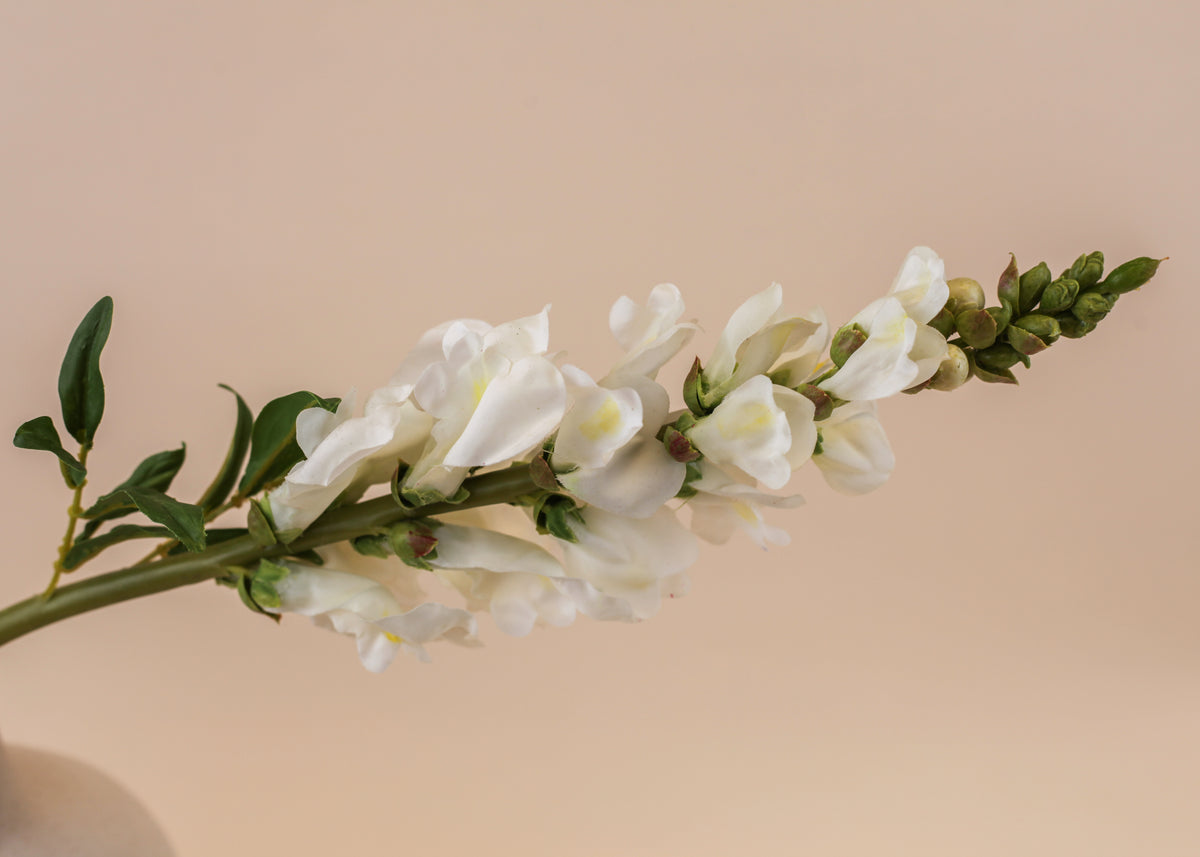 Real Touch Snapdragon - White 23"