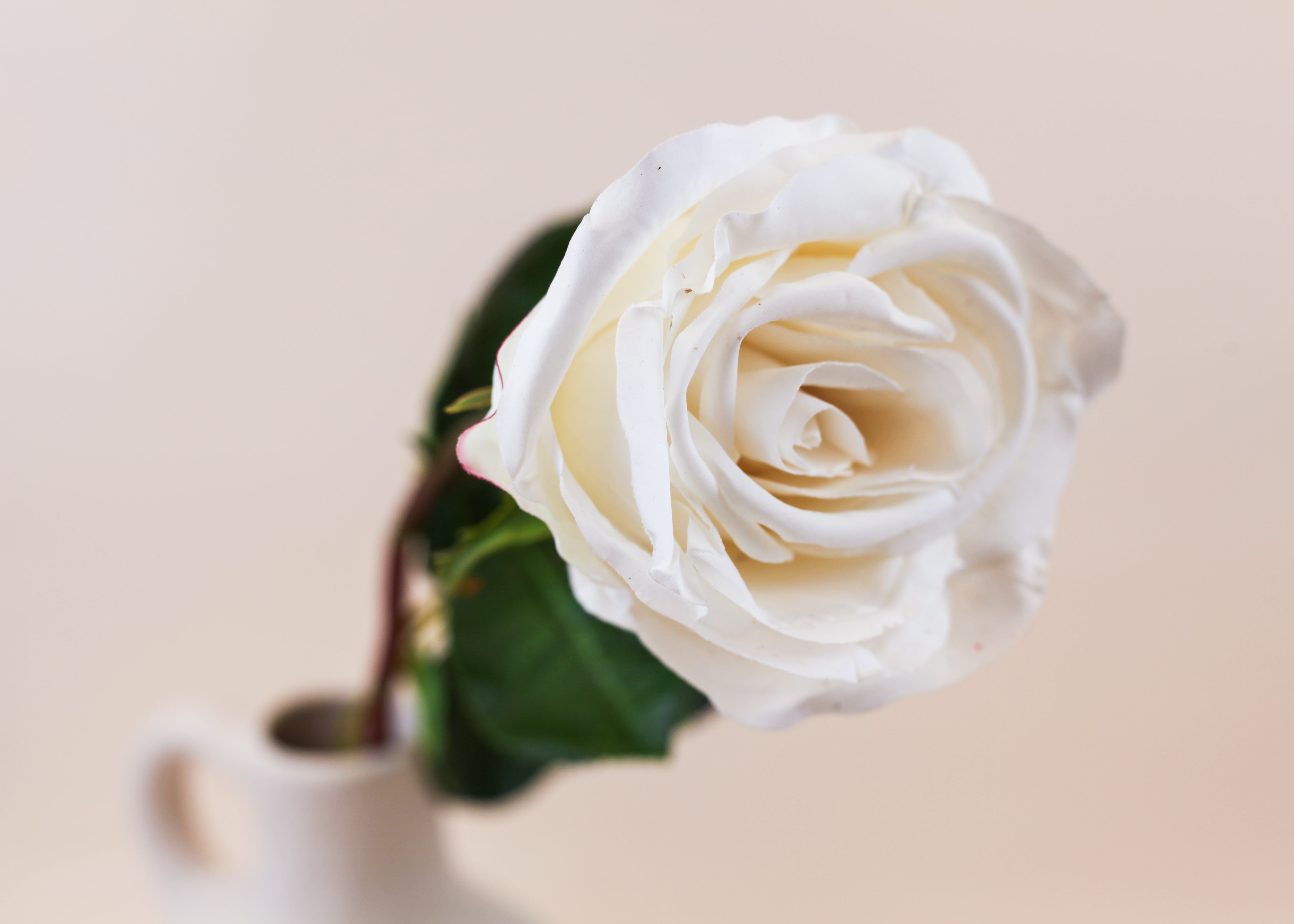 Real Touch Ecuadorian Rose - White 20.5"