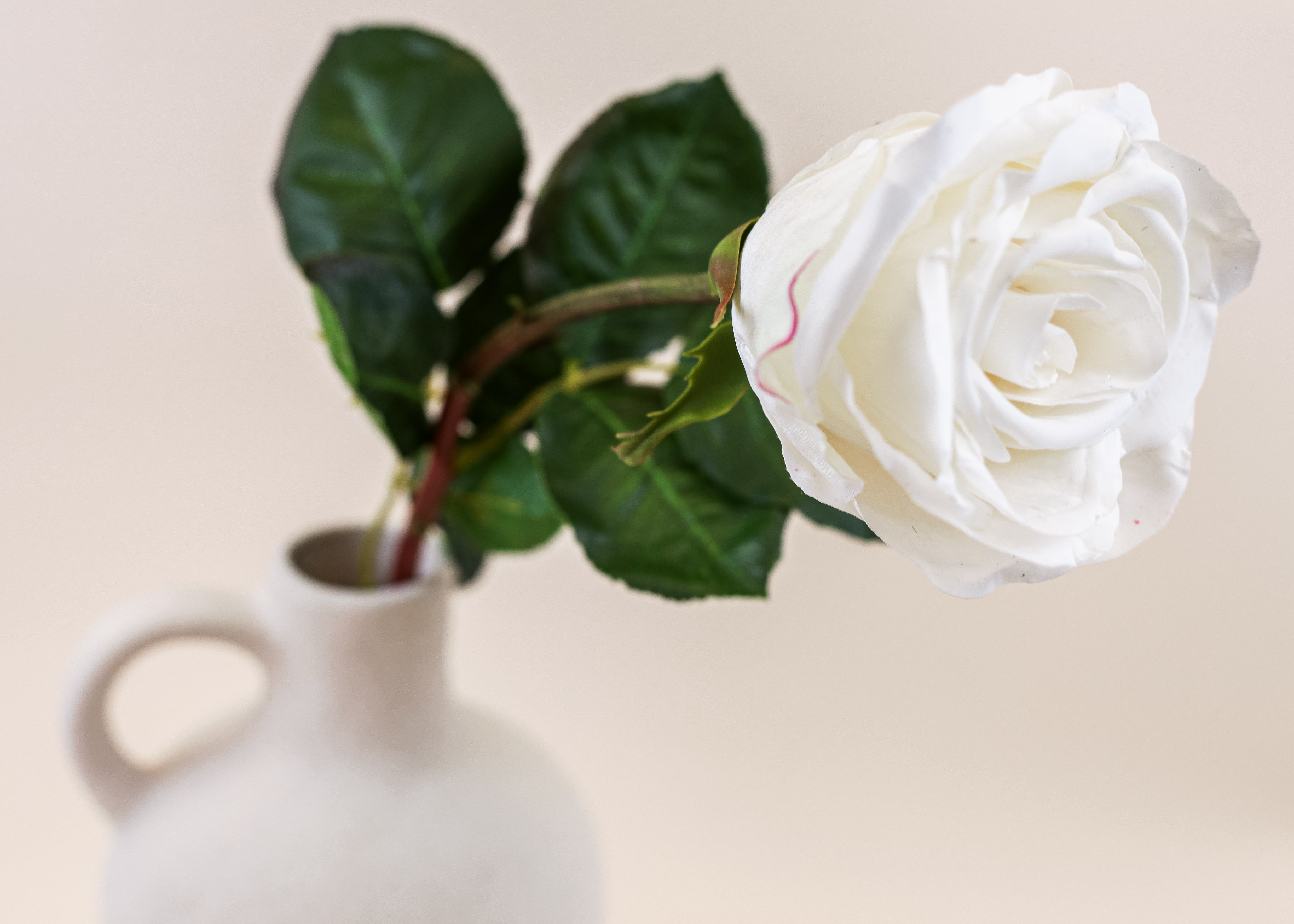 Real Touch Ecuadorian Rose - White 20.5"