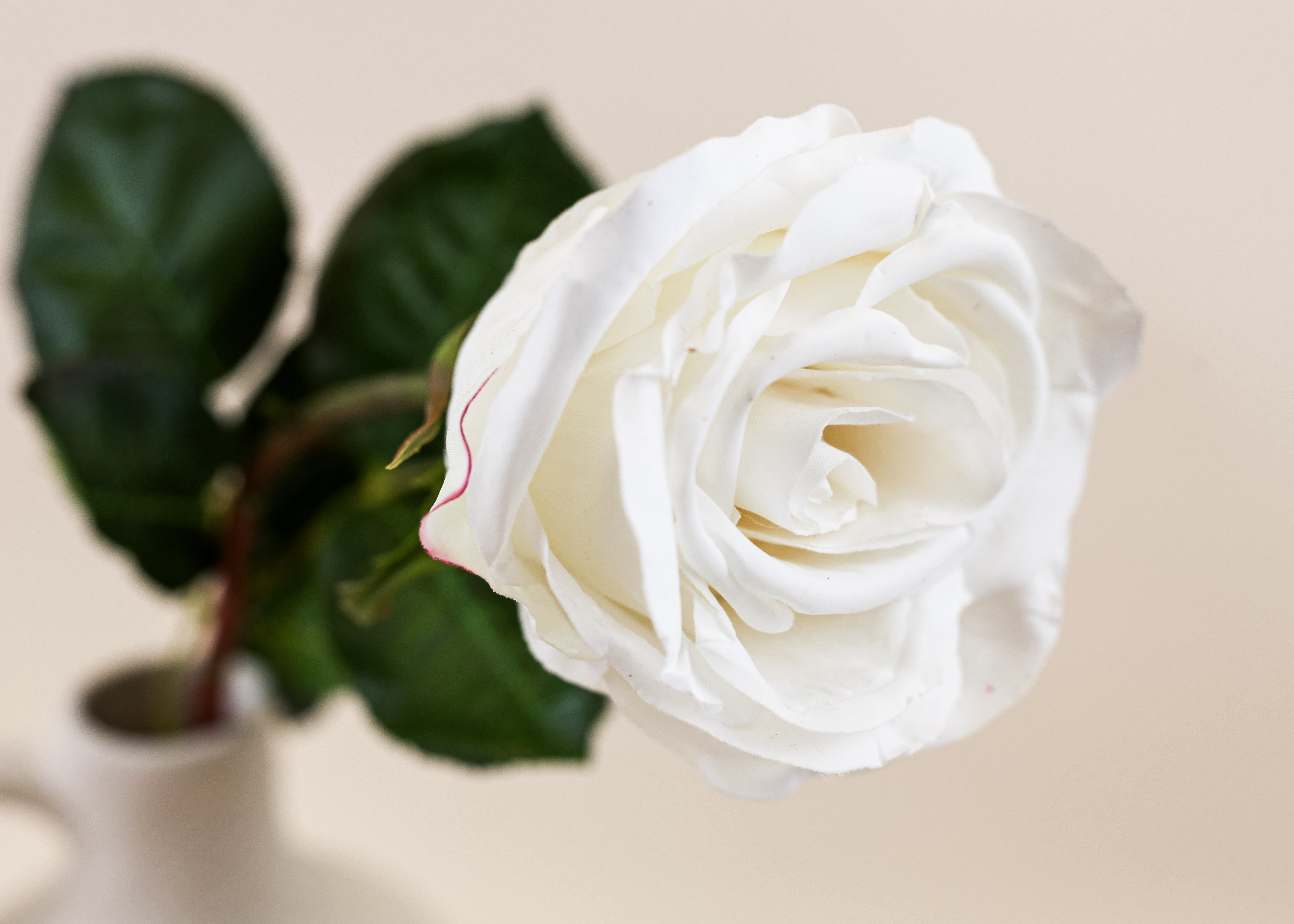 Real Touch Ecuadorian Rose - White 20.5"