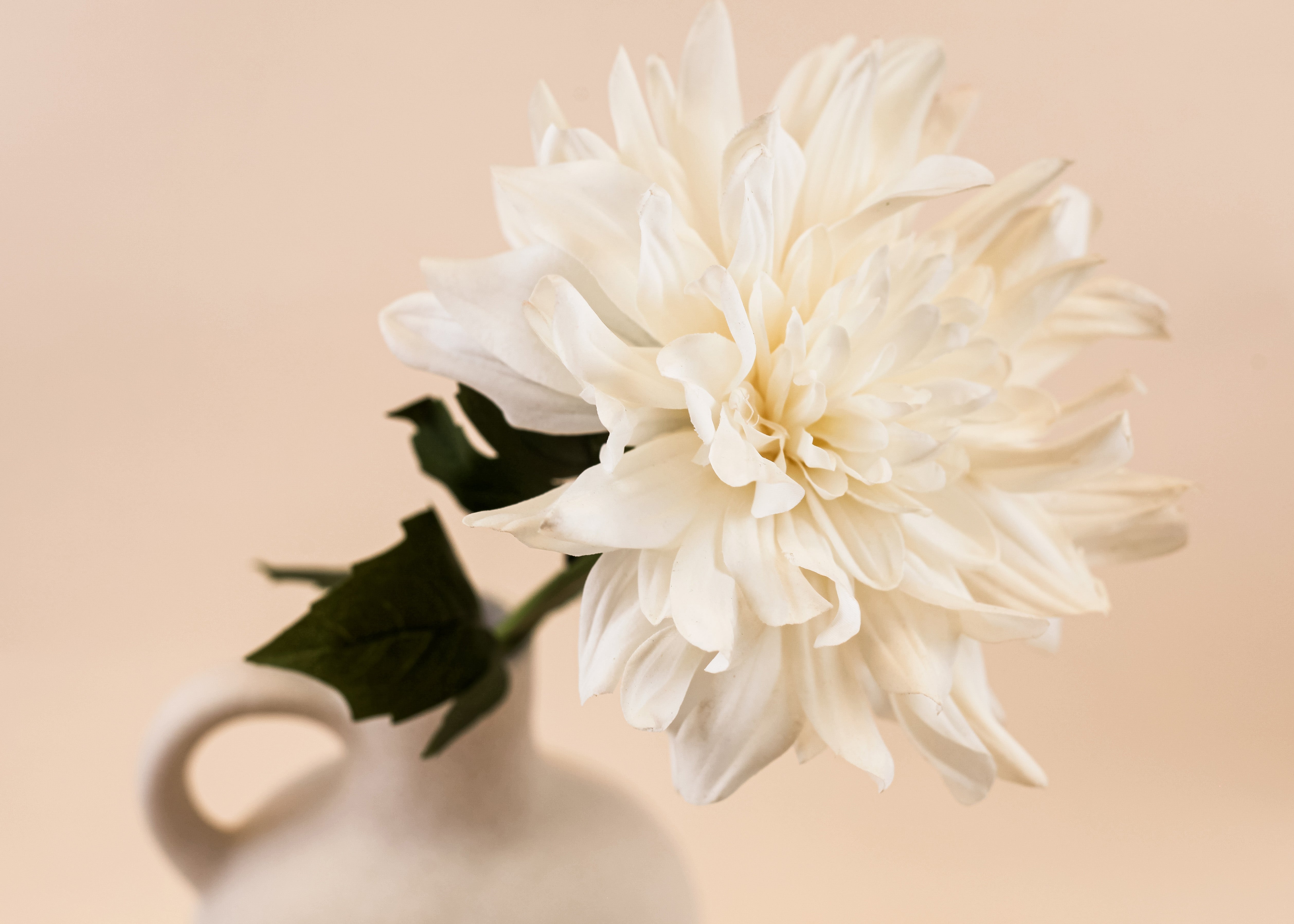 Real Touch Dahlia - White