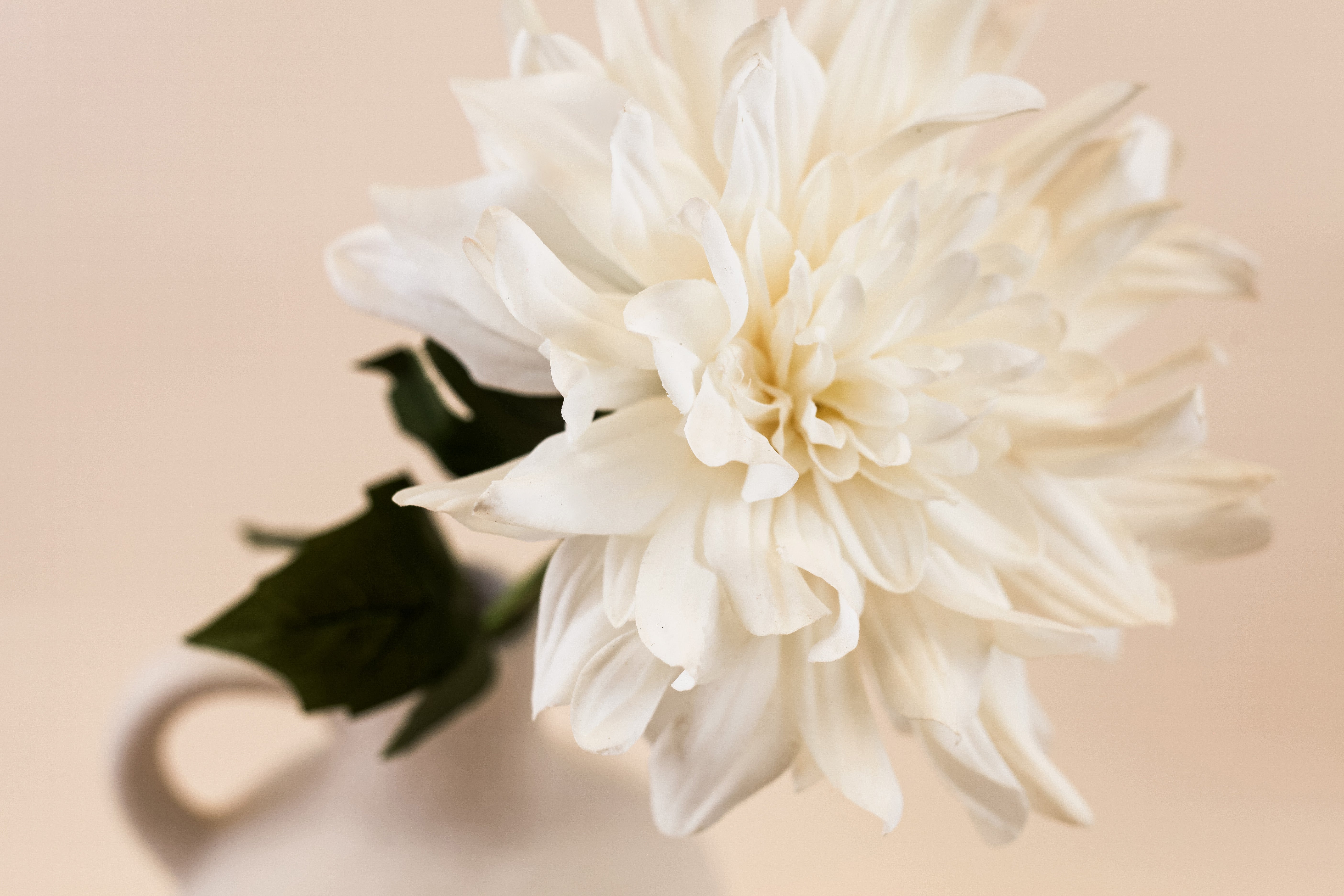 Real Touch Dahlia - White